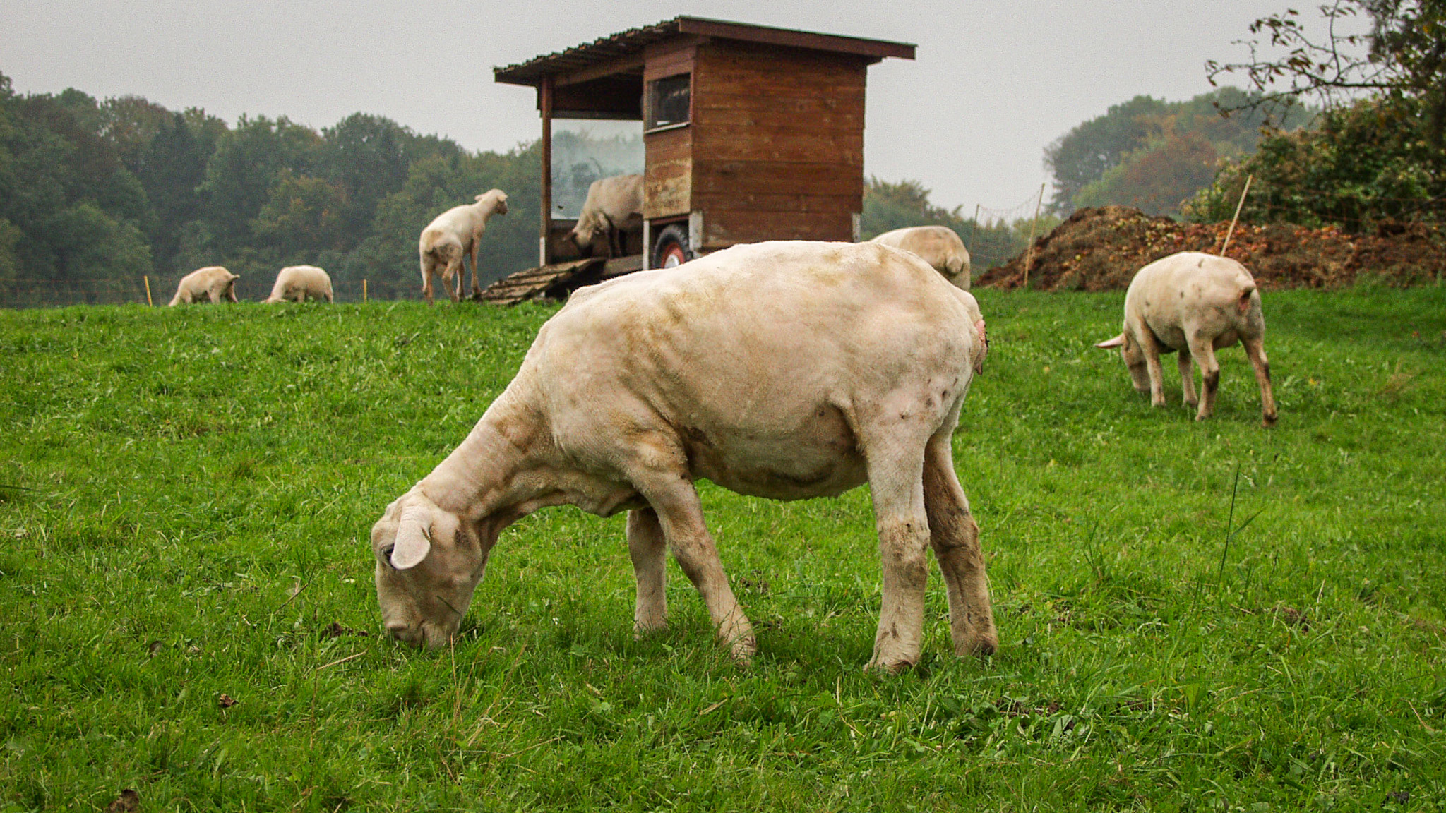 20021011165406 PA110108