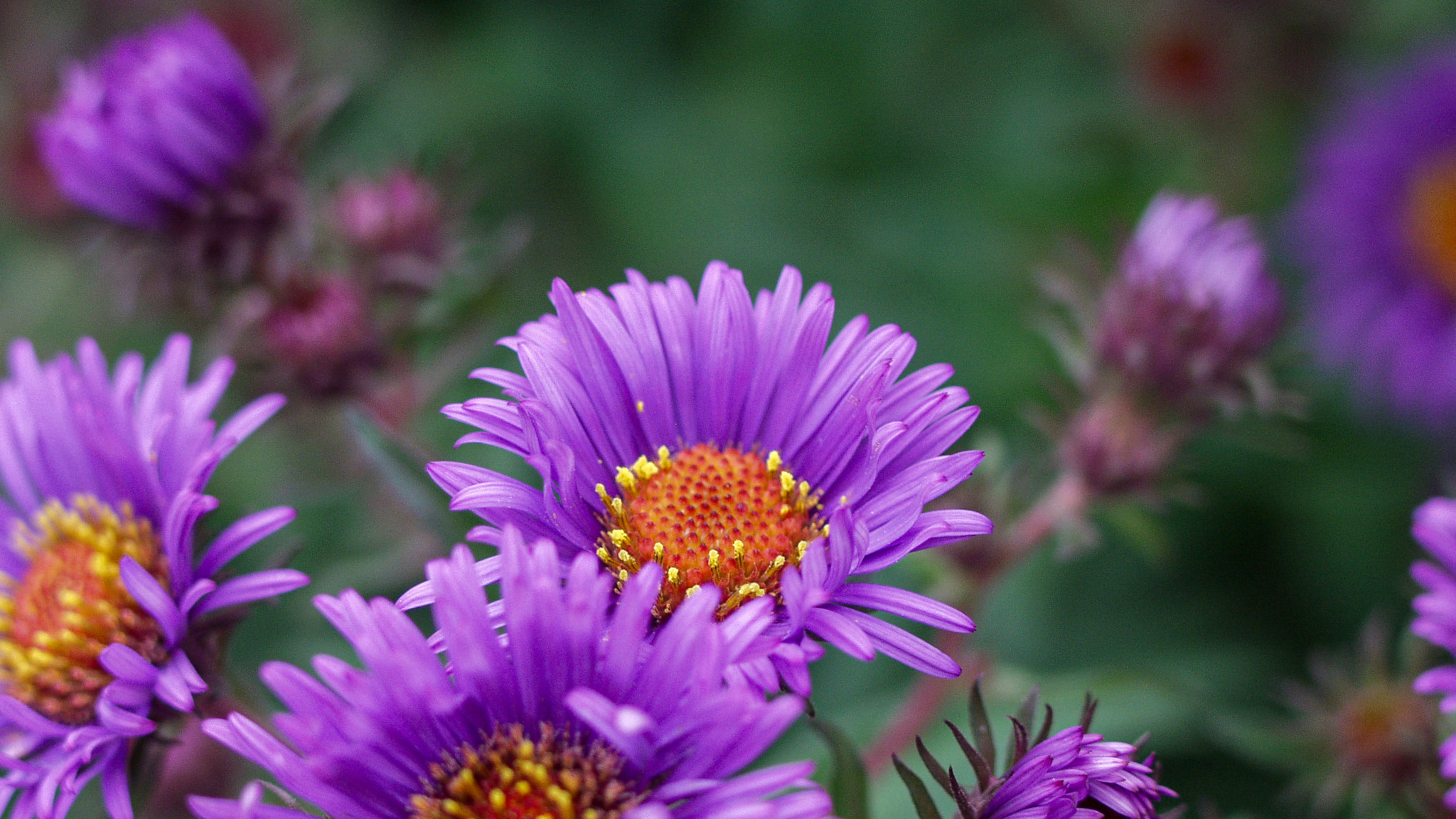 20021011170643 PA110133