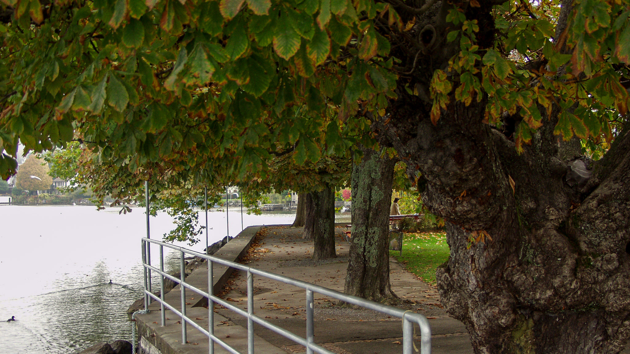 20021011172104 PA110151