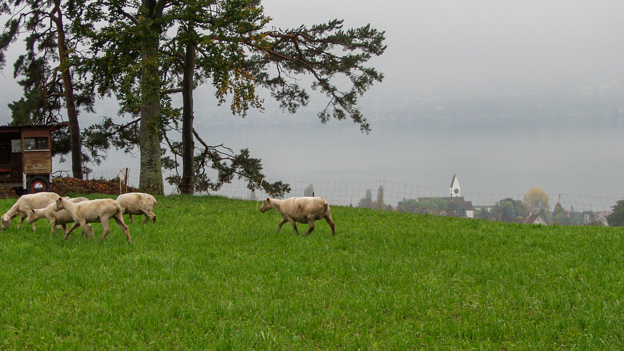 20021012092402 PA120202