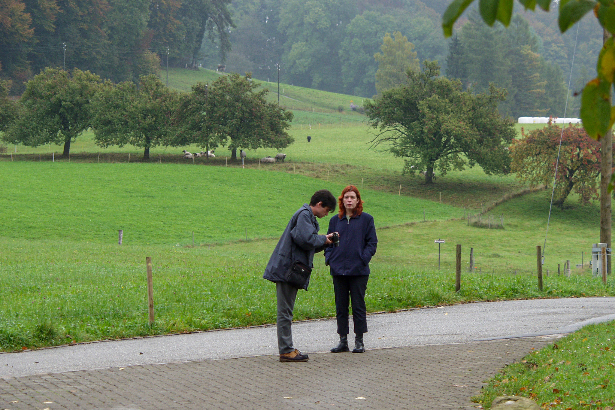 20021012145749 PA120224