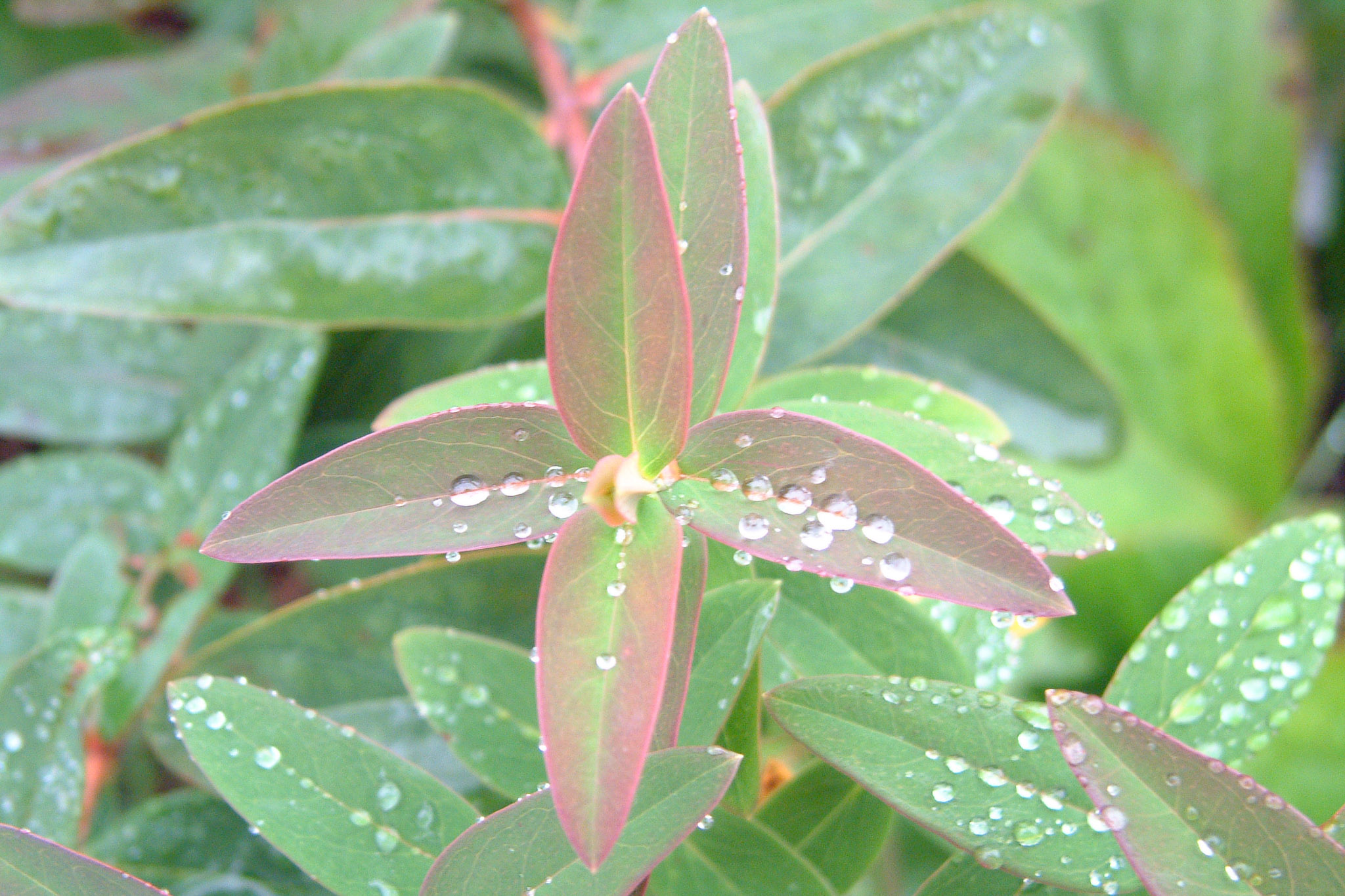 20021012150210 DSCF0014