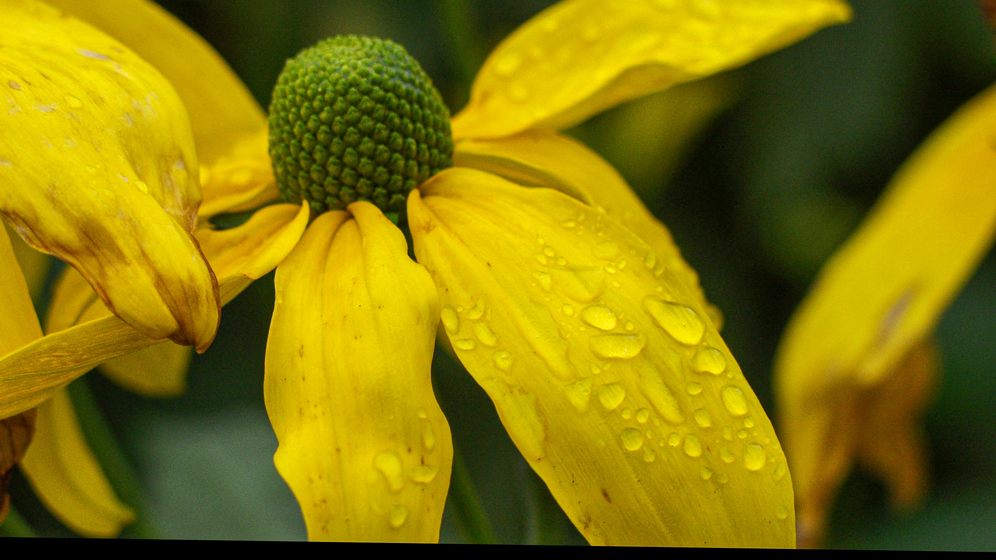 20021012150647 PA120241