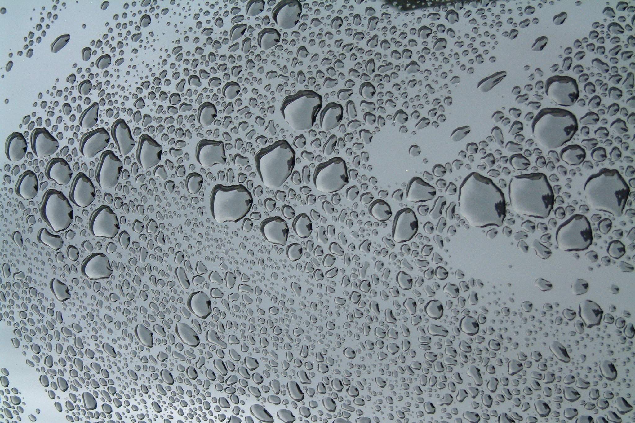 20021012150952 DSCF0017