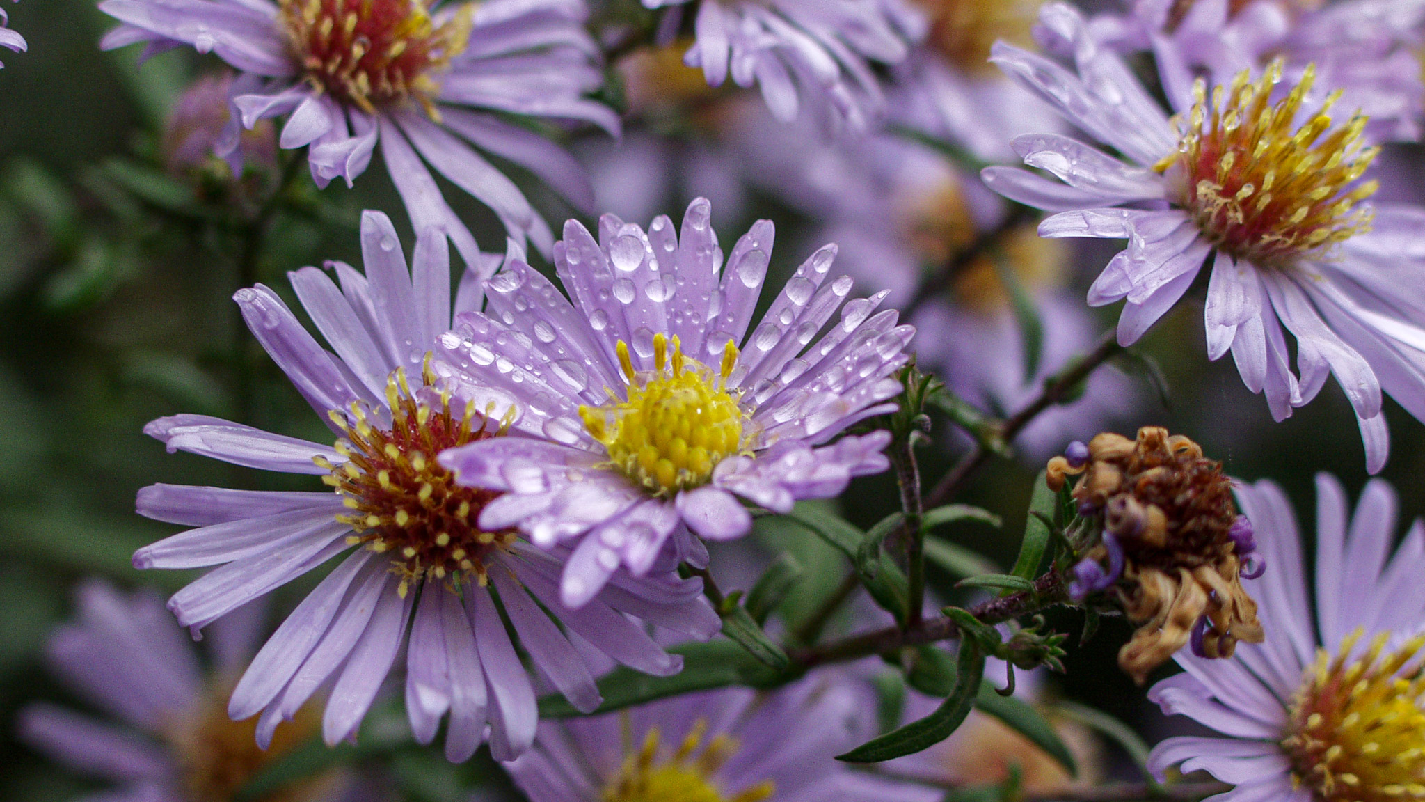 20021012152044 PA120262