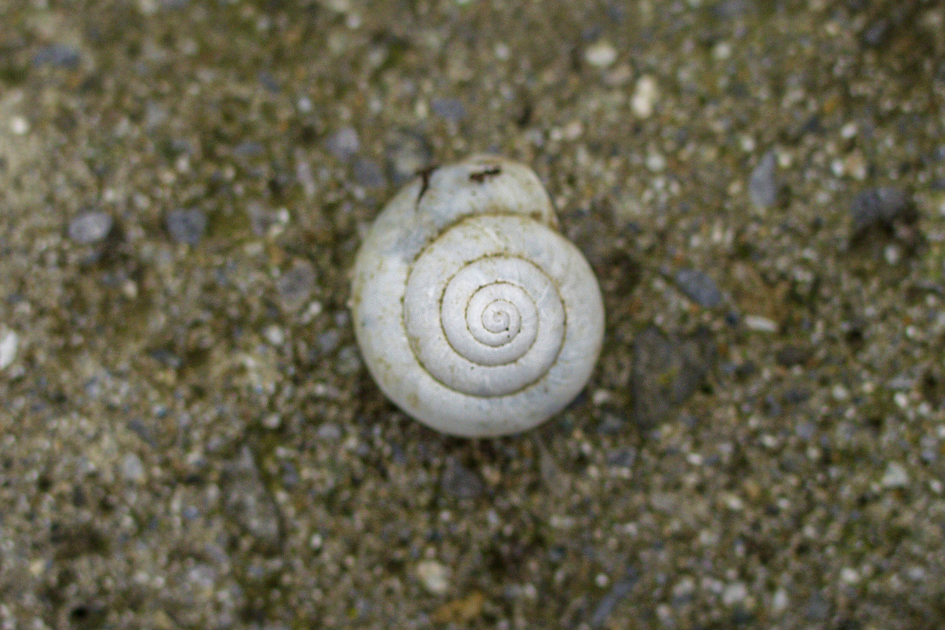 20021012153823 PA120283