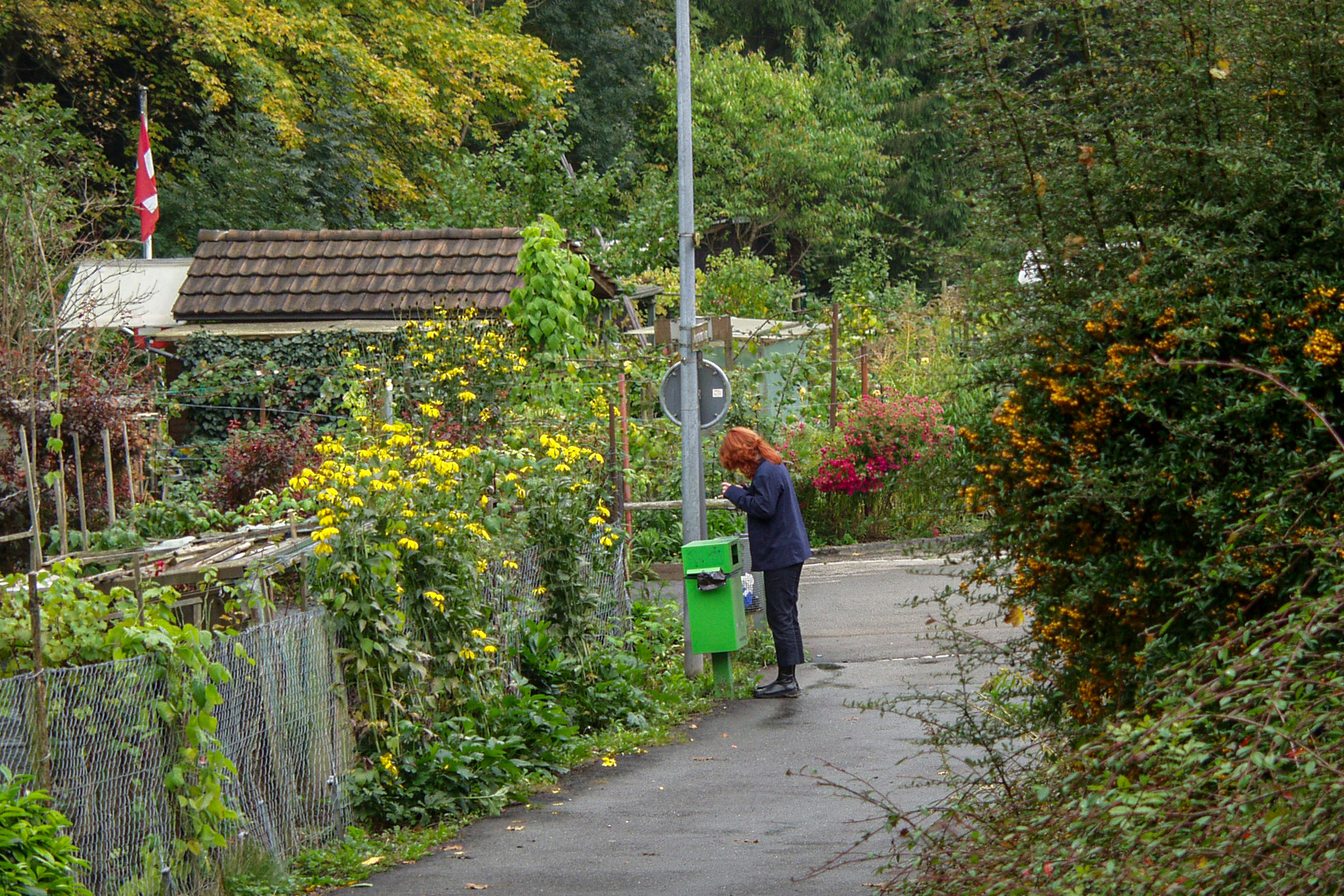 20021012154235 PA120285