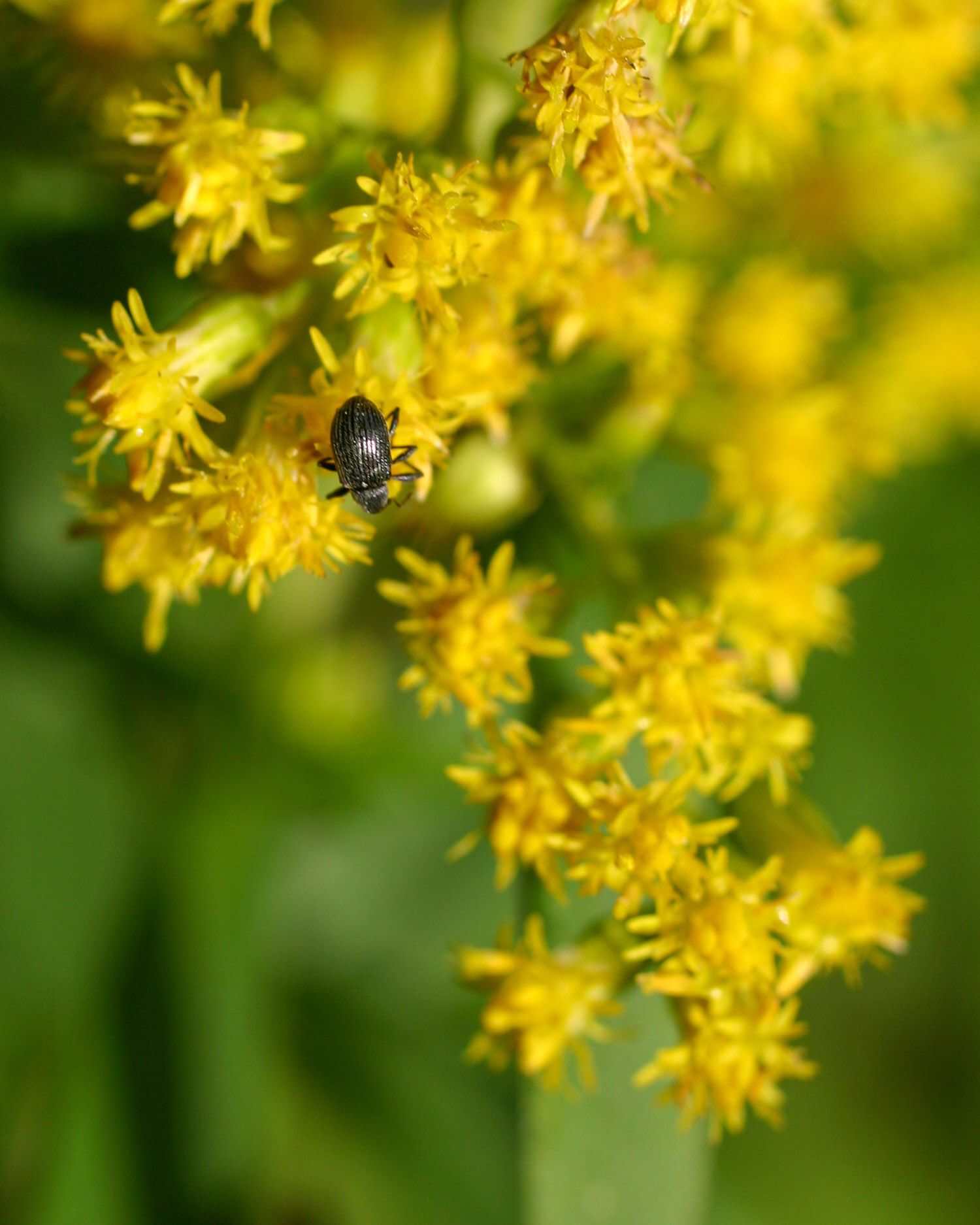 20051015151120 IMG 6532