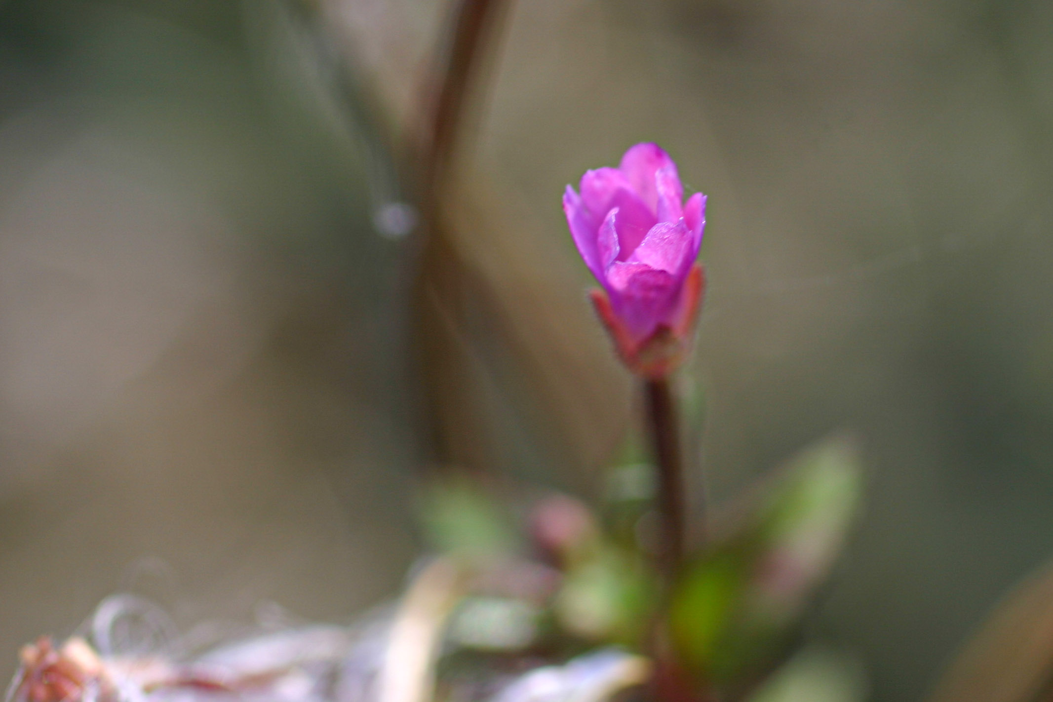 20051015151455 IMG 6551