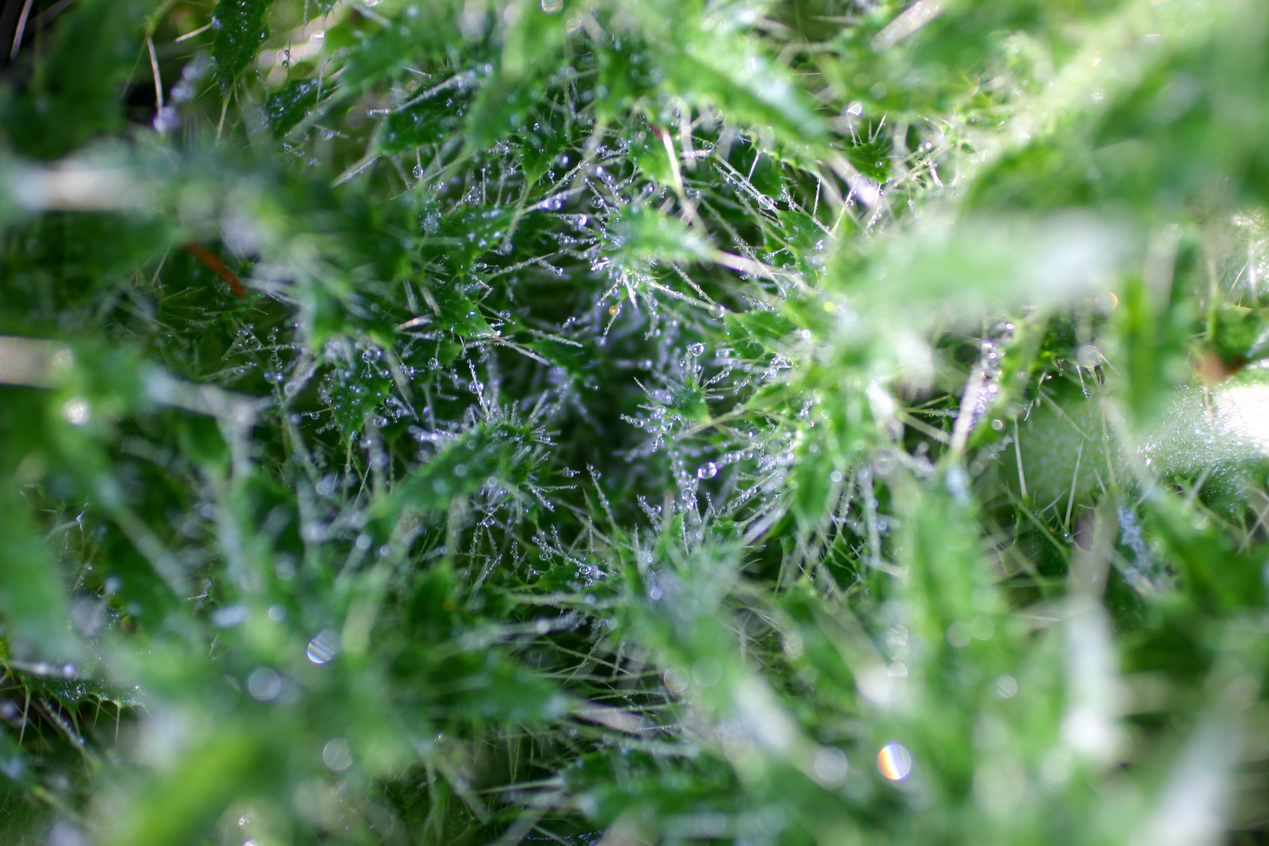 20051015152730 IMG 6599