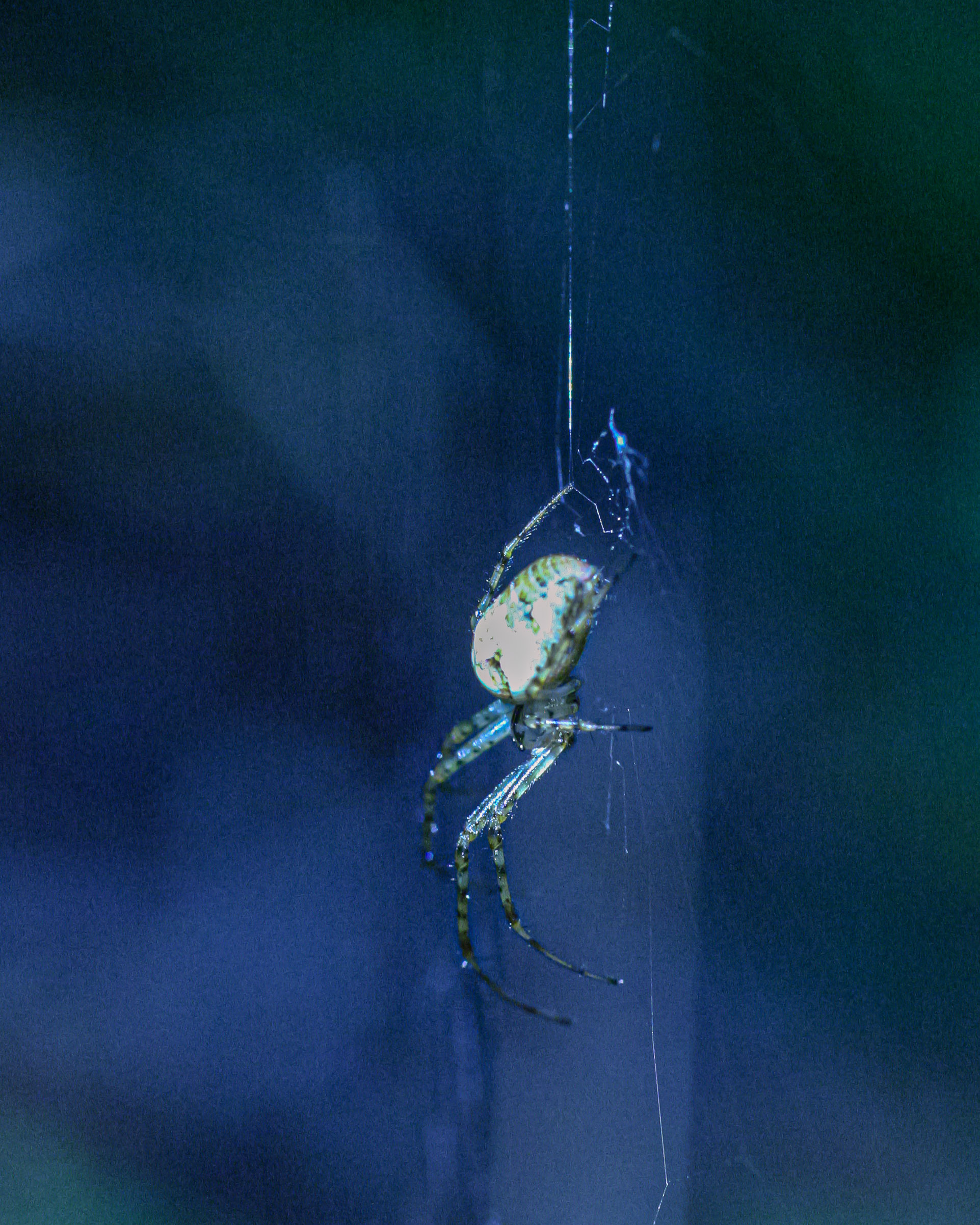 20051015155201 IMG 6667