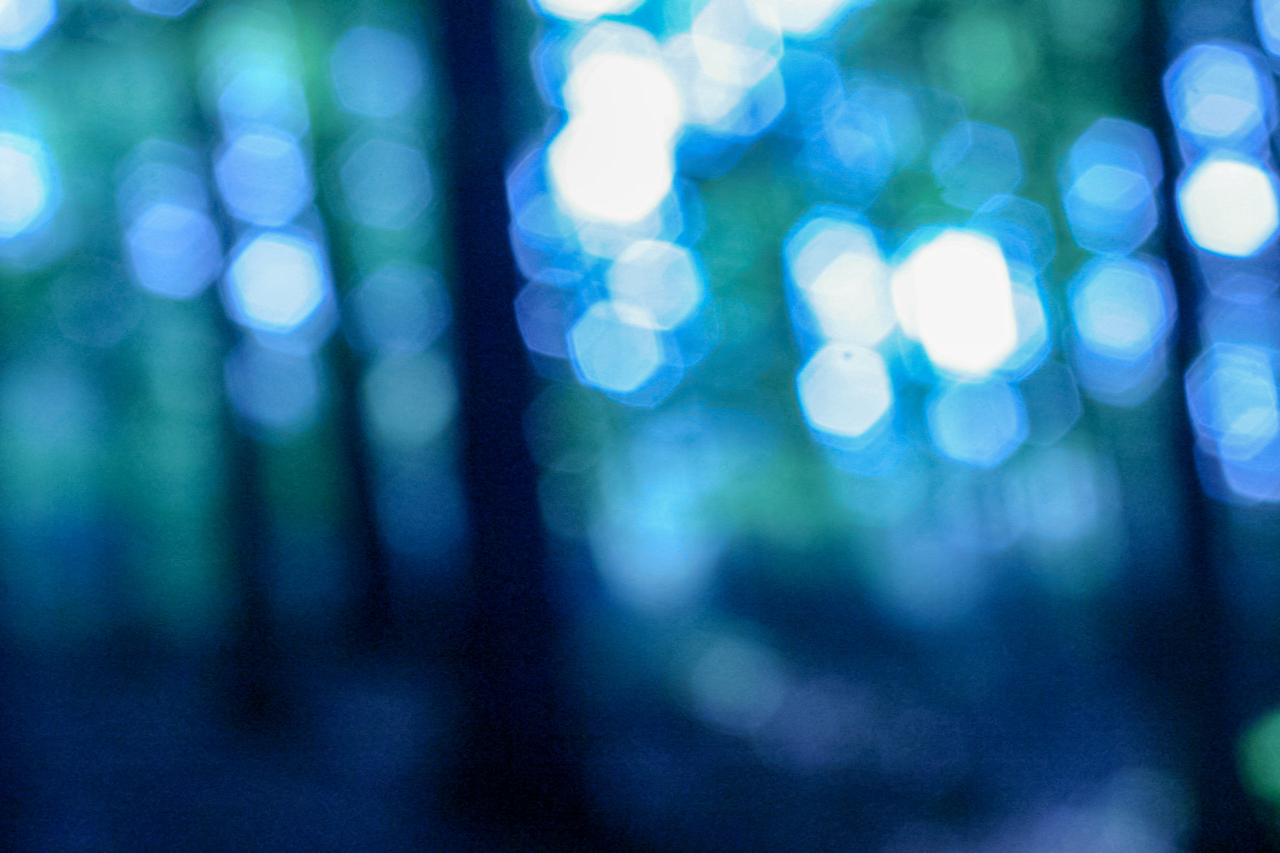 20051015155451 IMG 6679