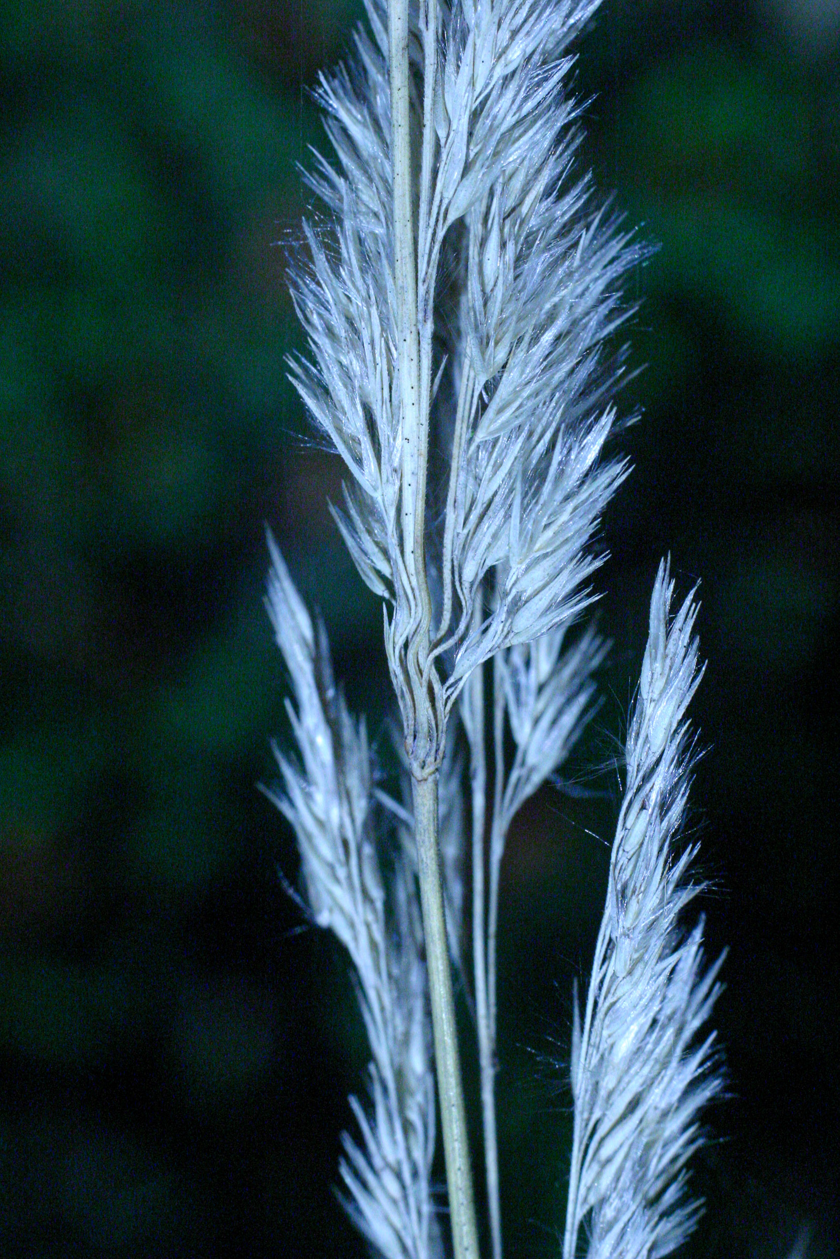 20051015160740 IMG 6748