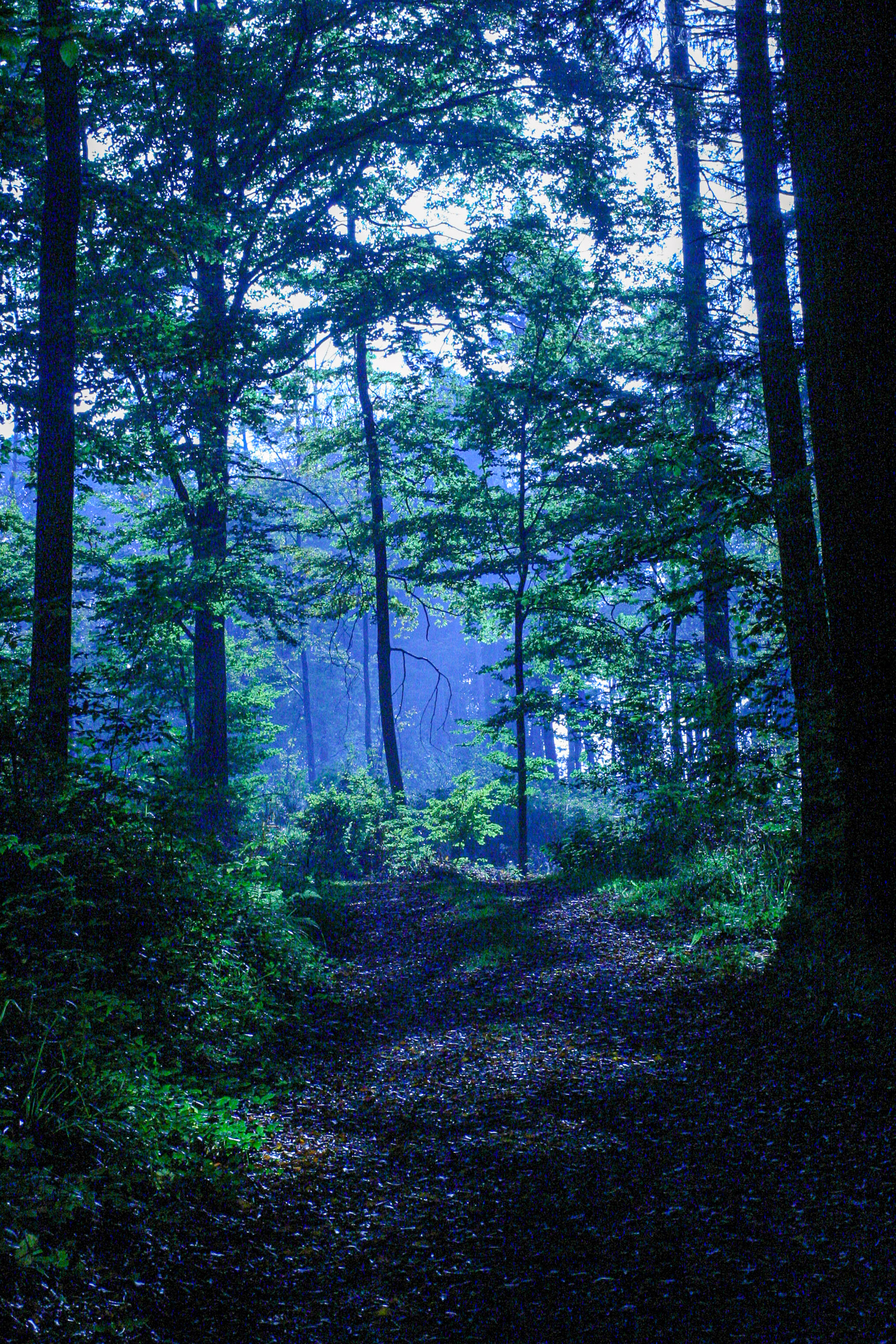 20051015161552 IMG 6765