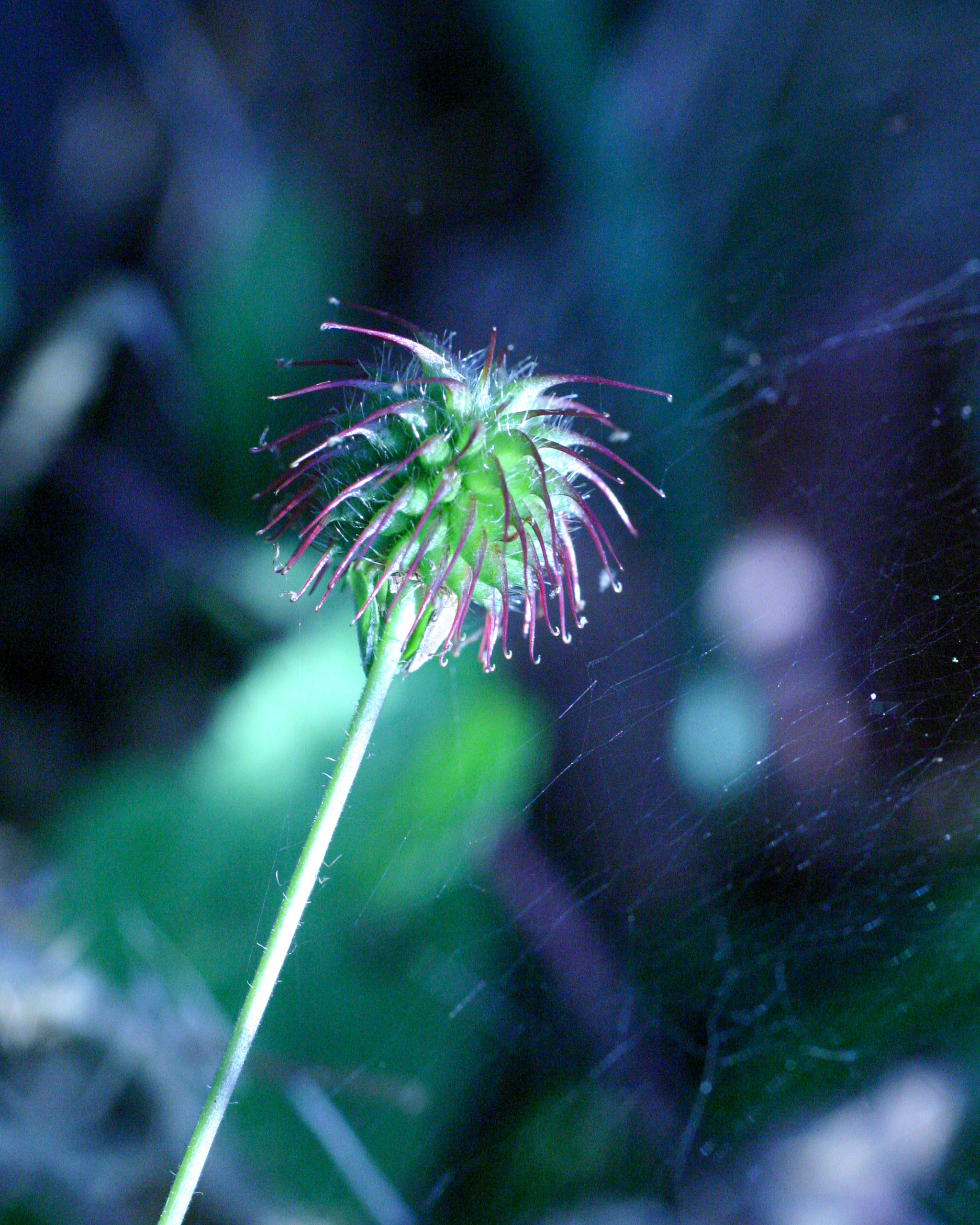 20051015162222 IMG 6804