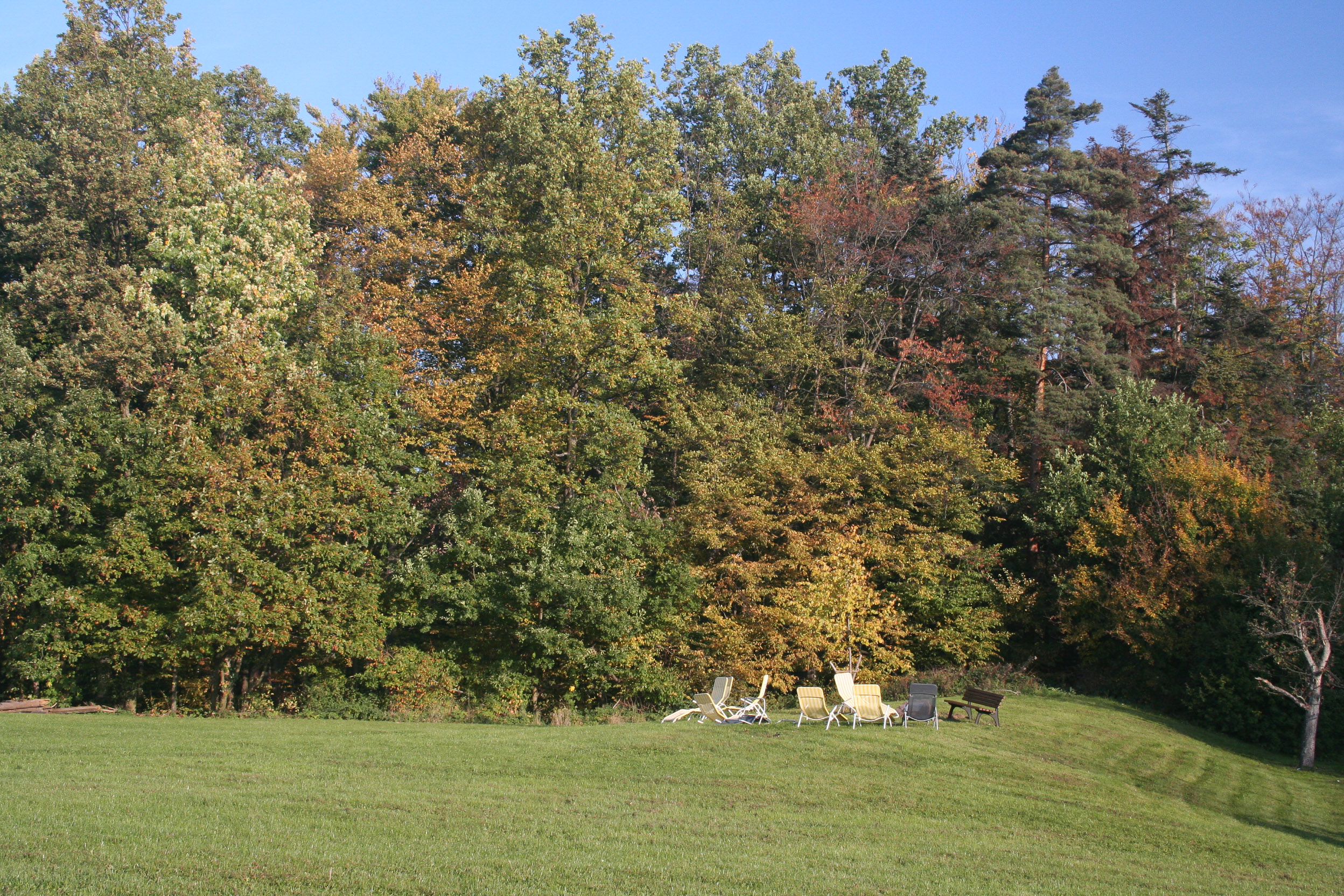 20051016092539 IMG 0005