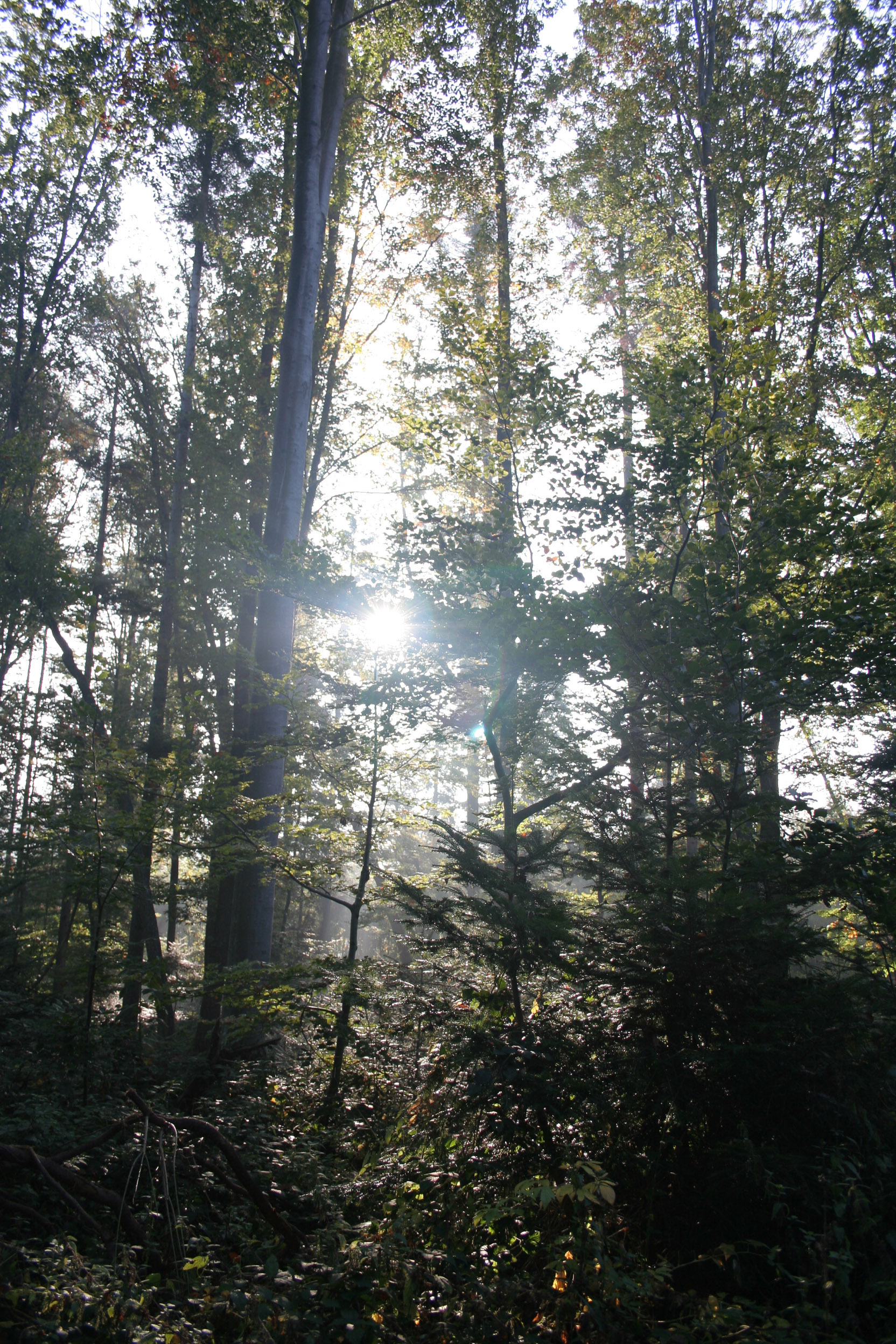 20051016093004 IMG 0010