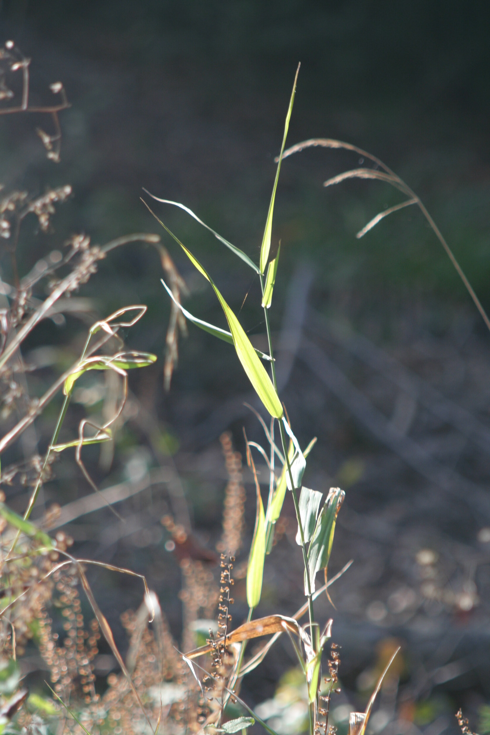 20051016160625 IMG 0062