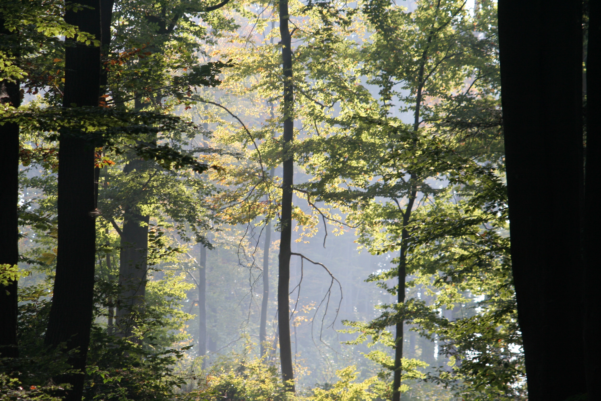 20051016160831 IMG 0063