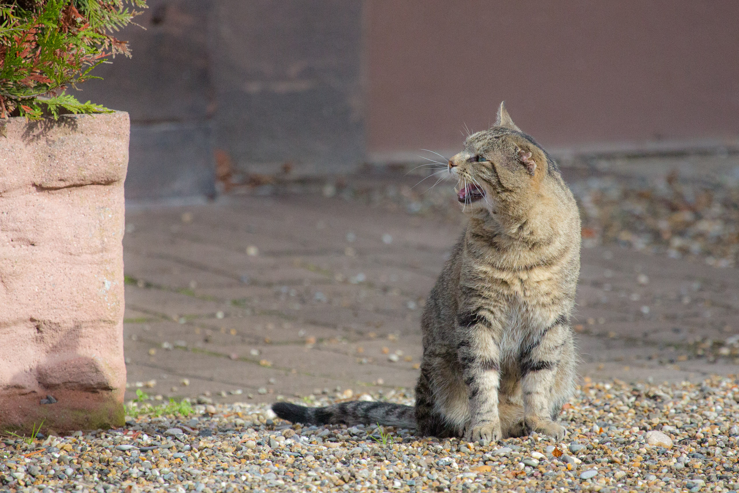 20121103122647 RD 16342