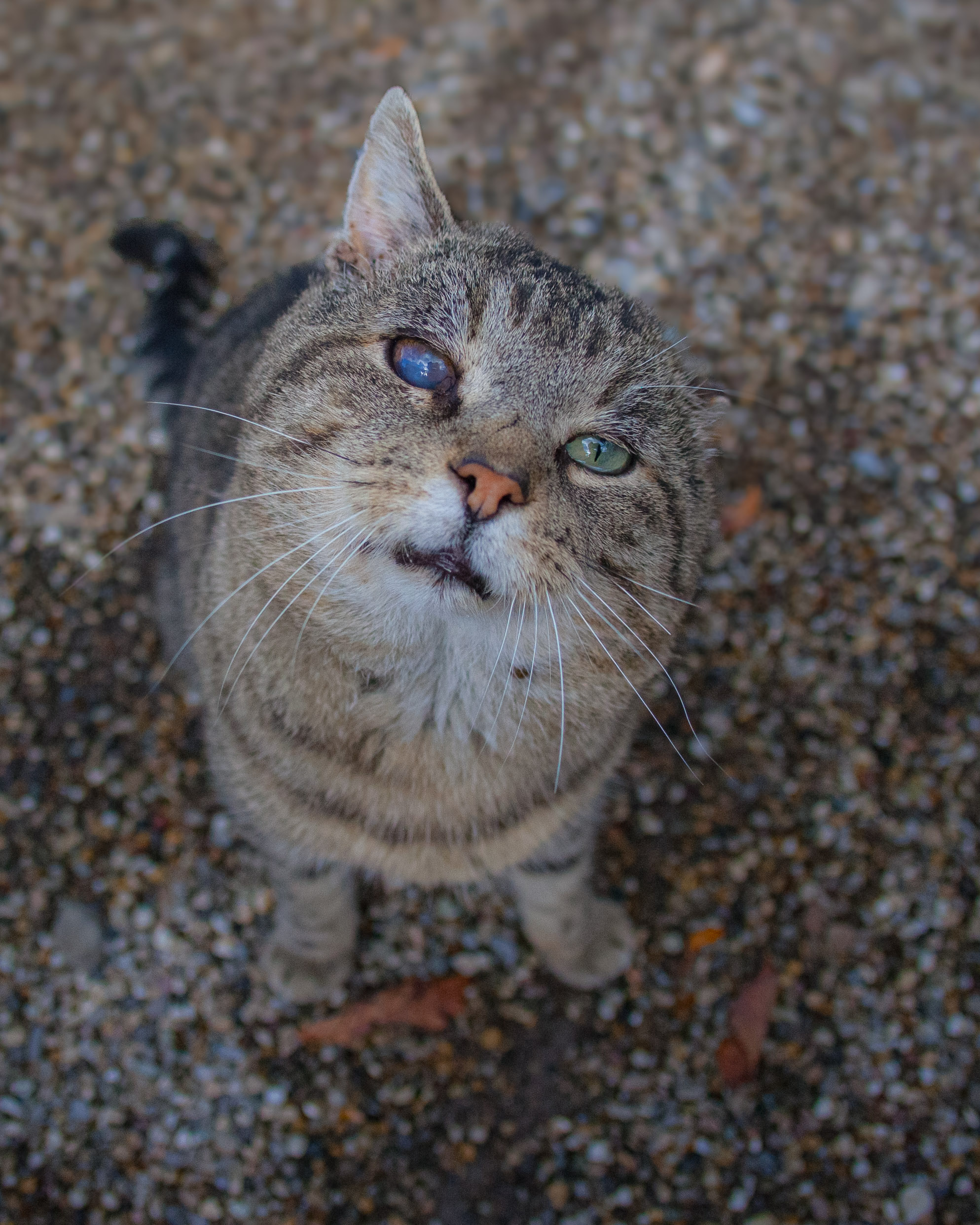 20121103125055 IMG 3958