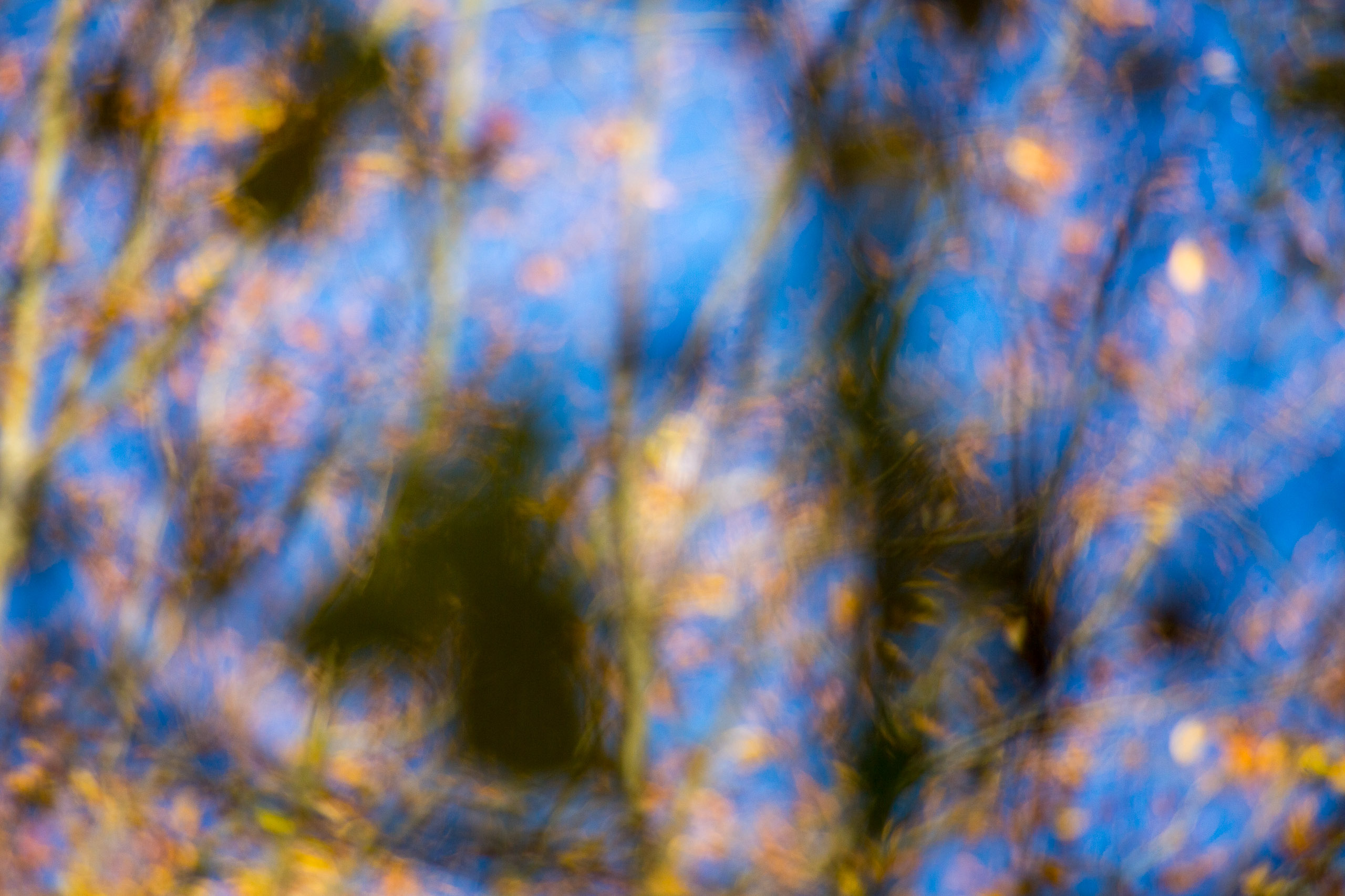 20131027090528 RD 27926