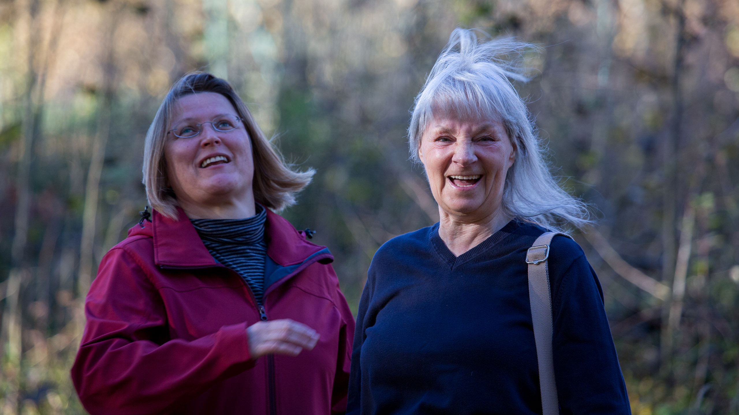 20131027092213 RD 28003