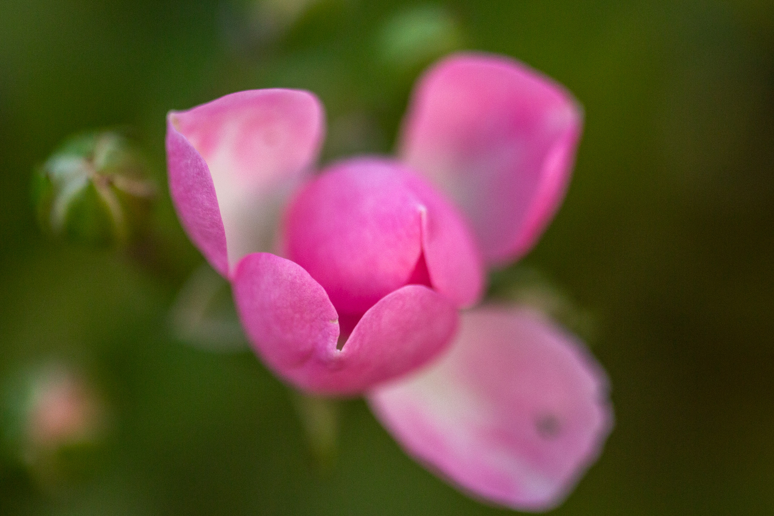 20141023174926 RD 75762