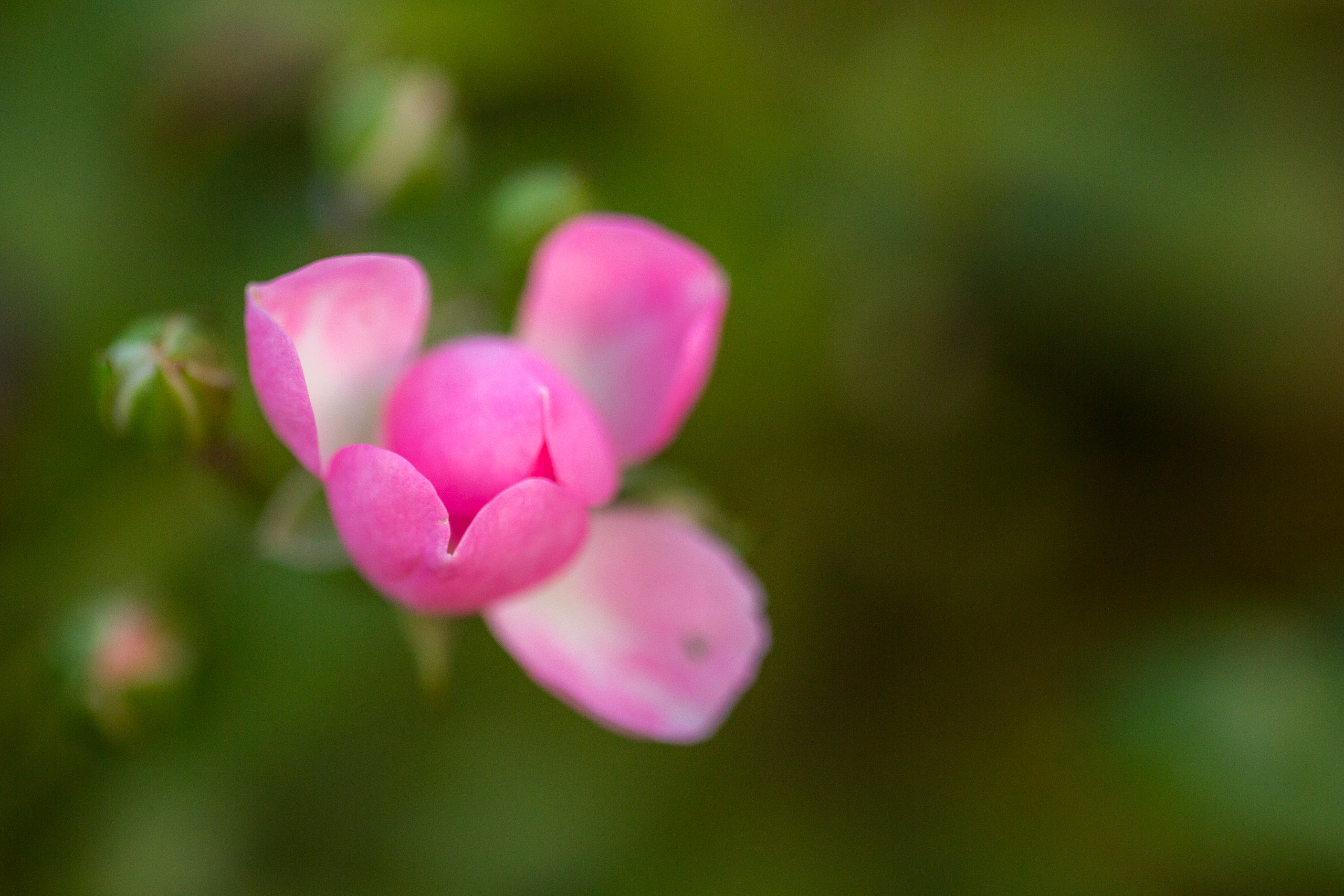 20141023174934 RD 75770