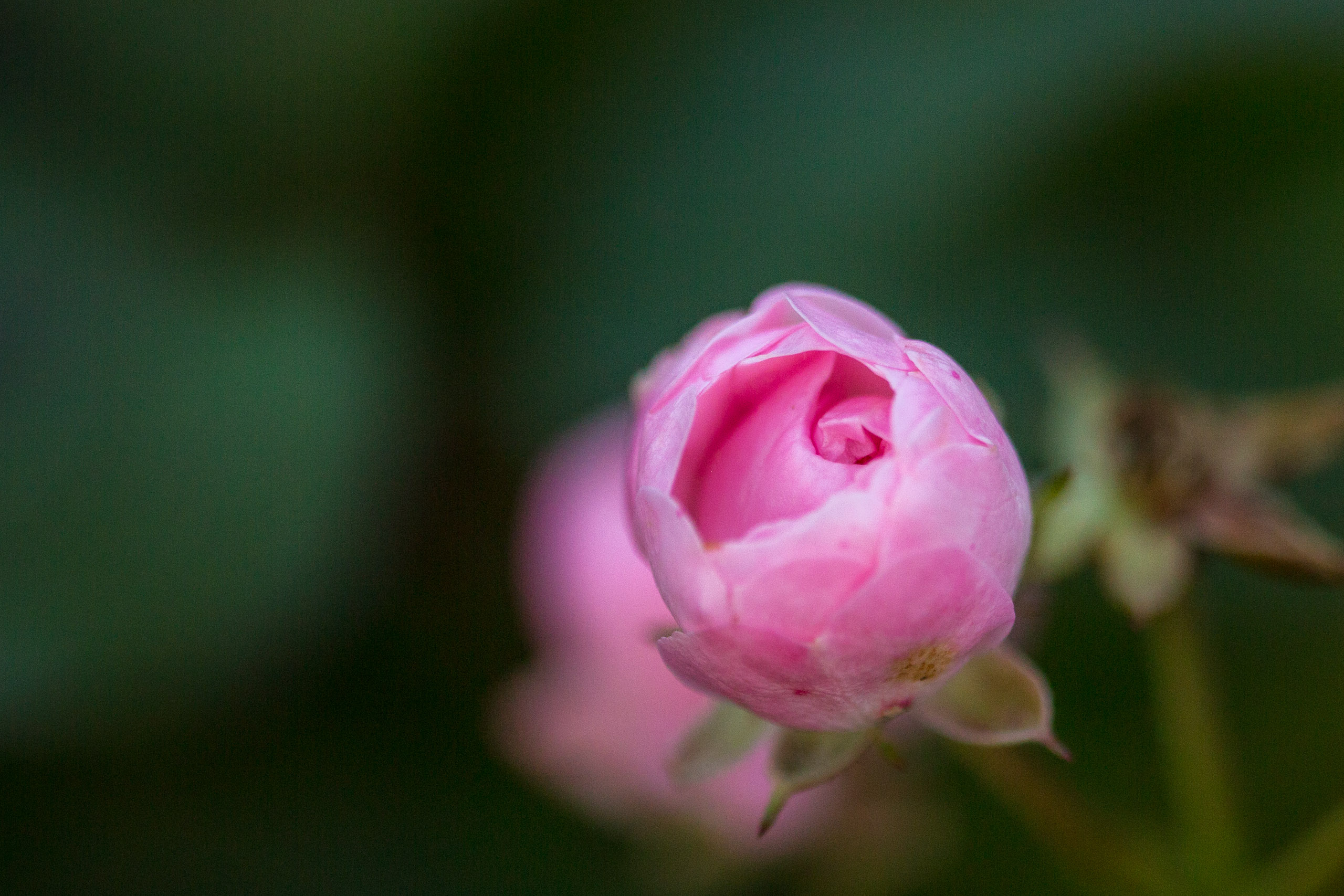 20141023174956 RD 75775