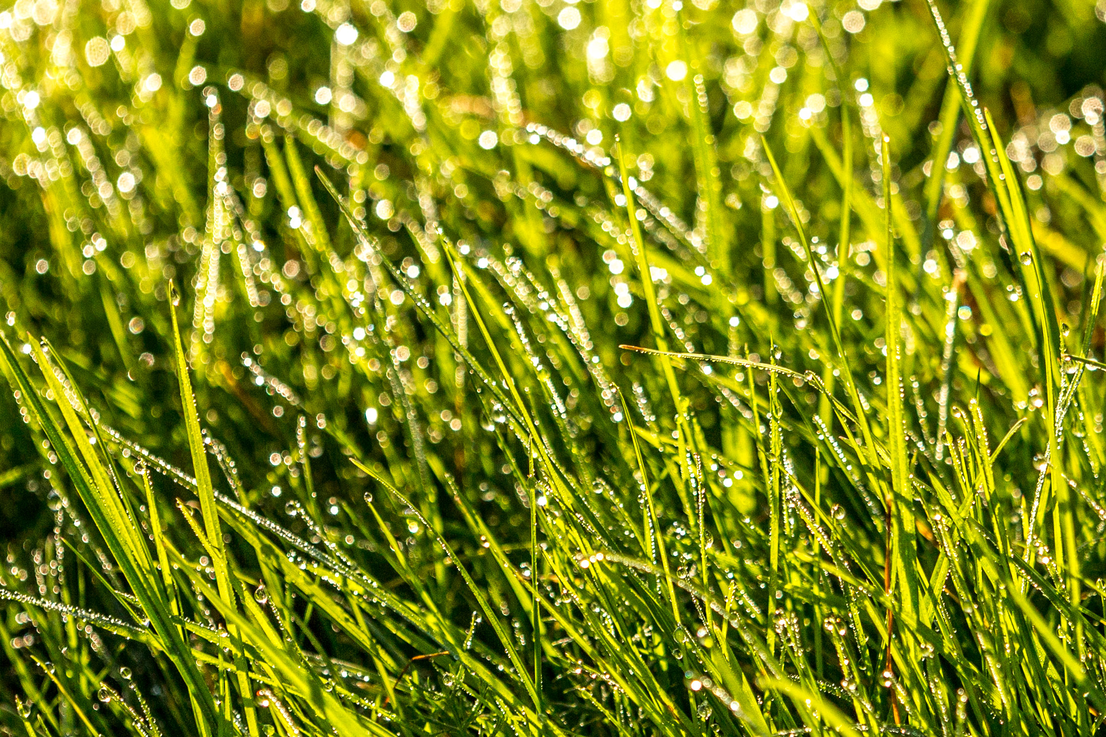 20141024092749 RD 75824