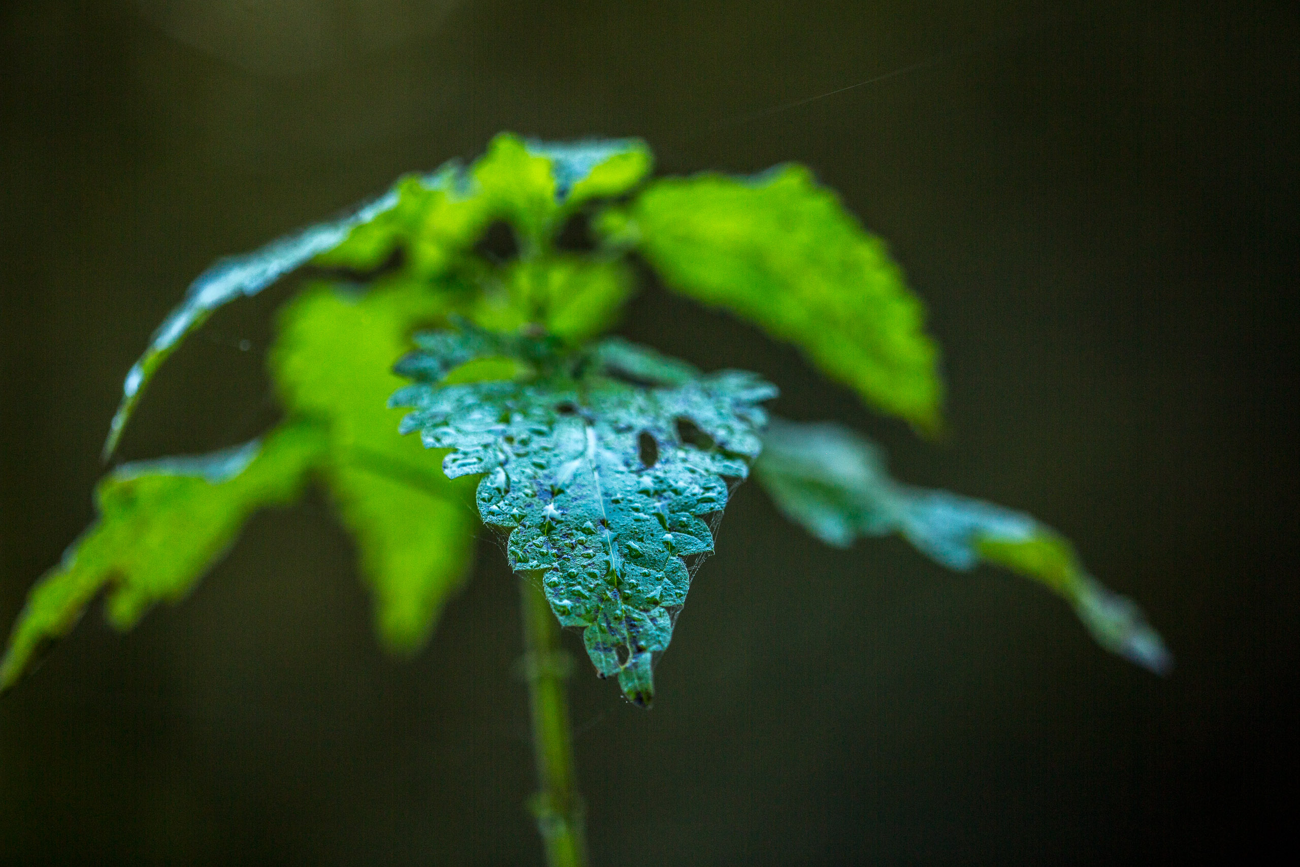 20141024093356 RD 75830