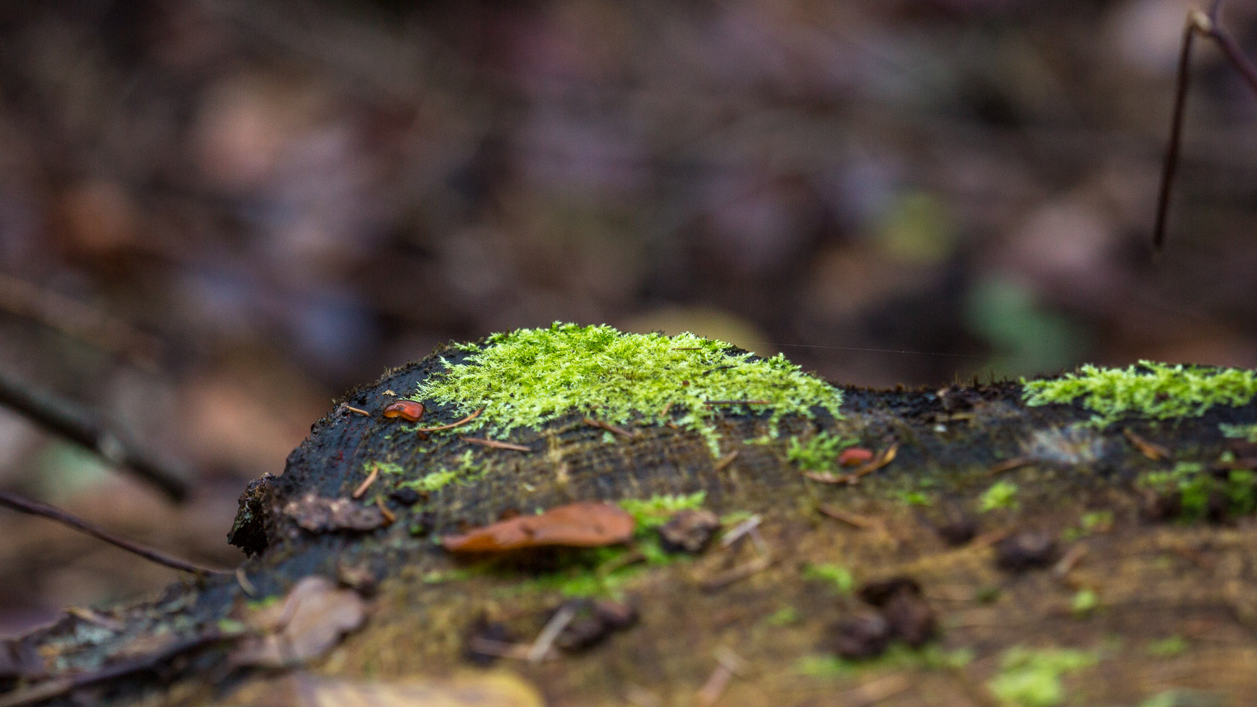 20141024095210 RD 75865