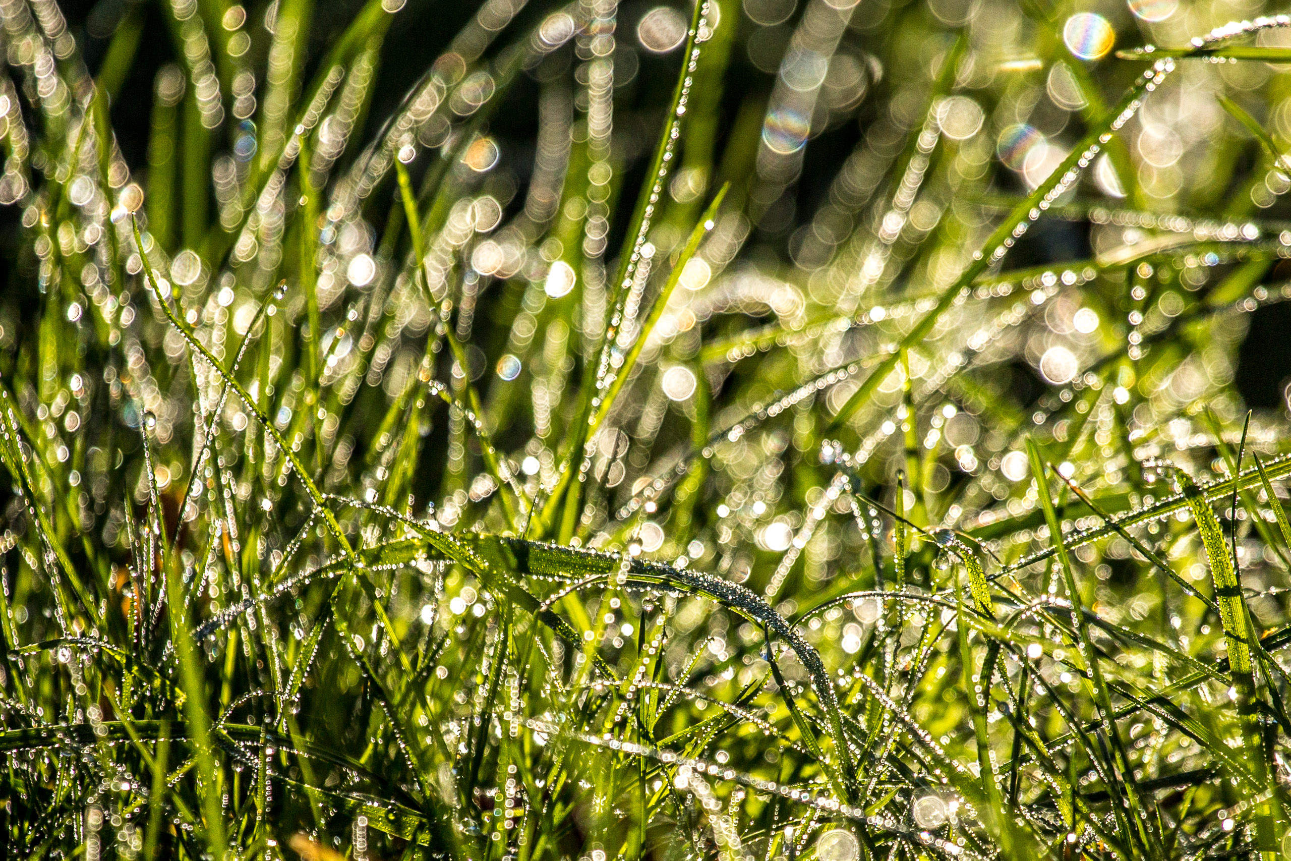 20141024101647 RD 75958