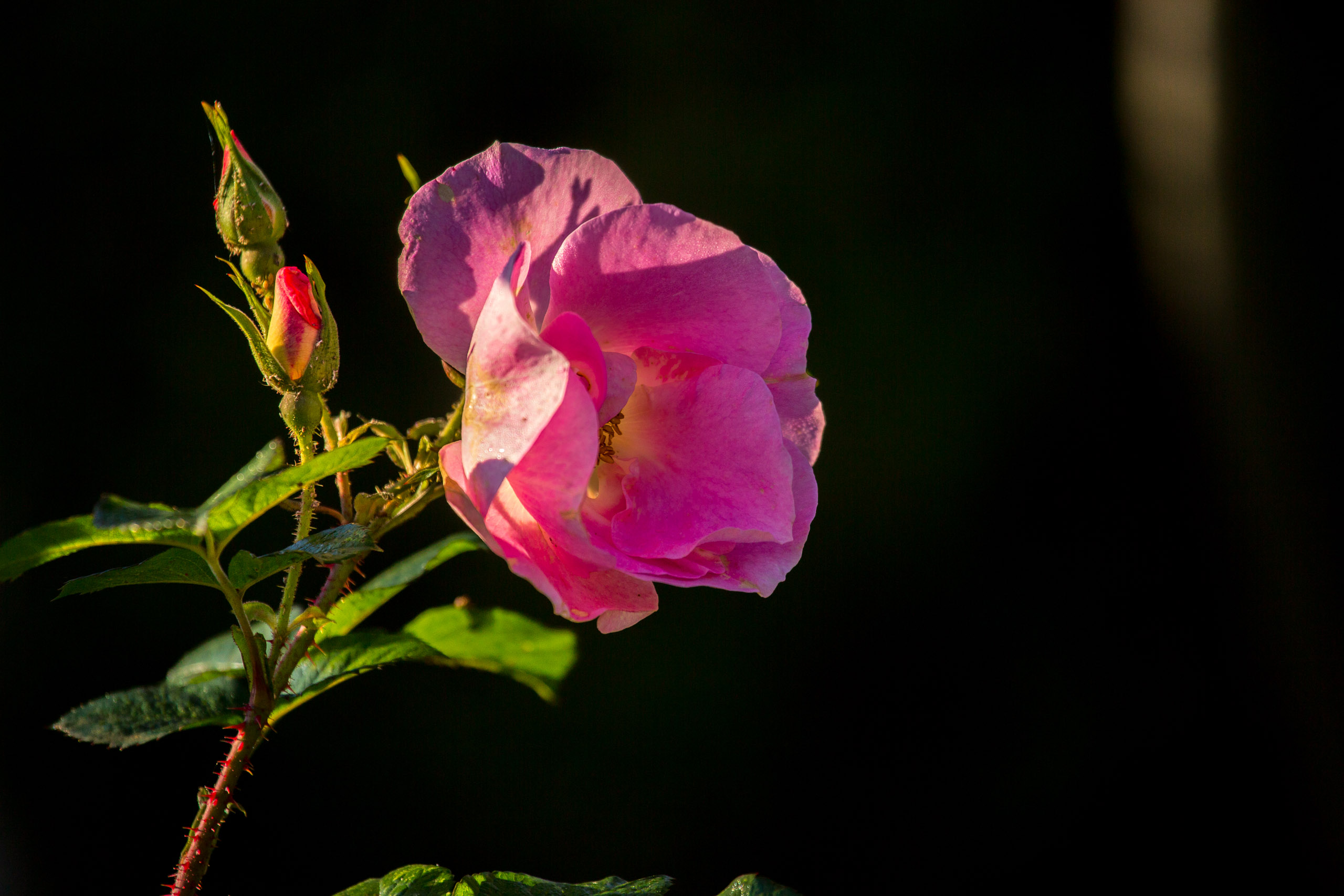 20141024101758 RD 75965