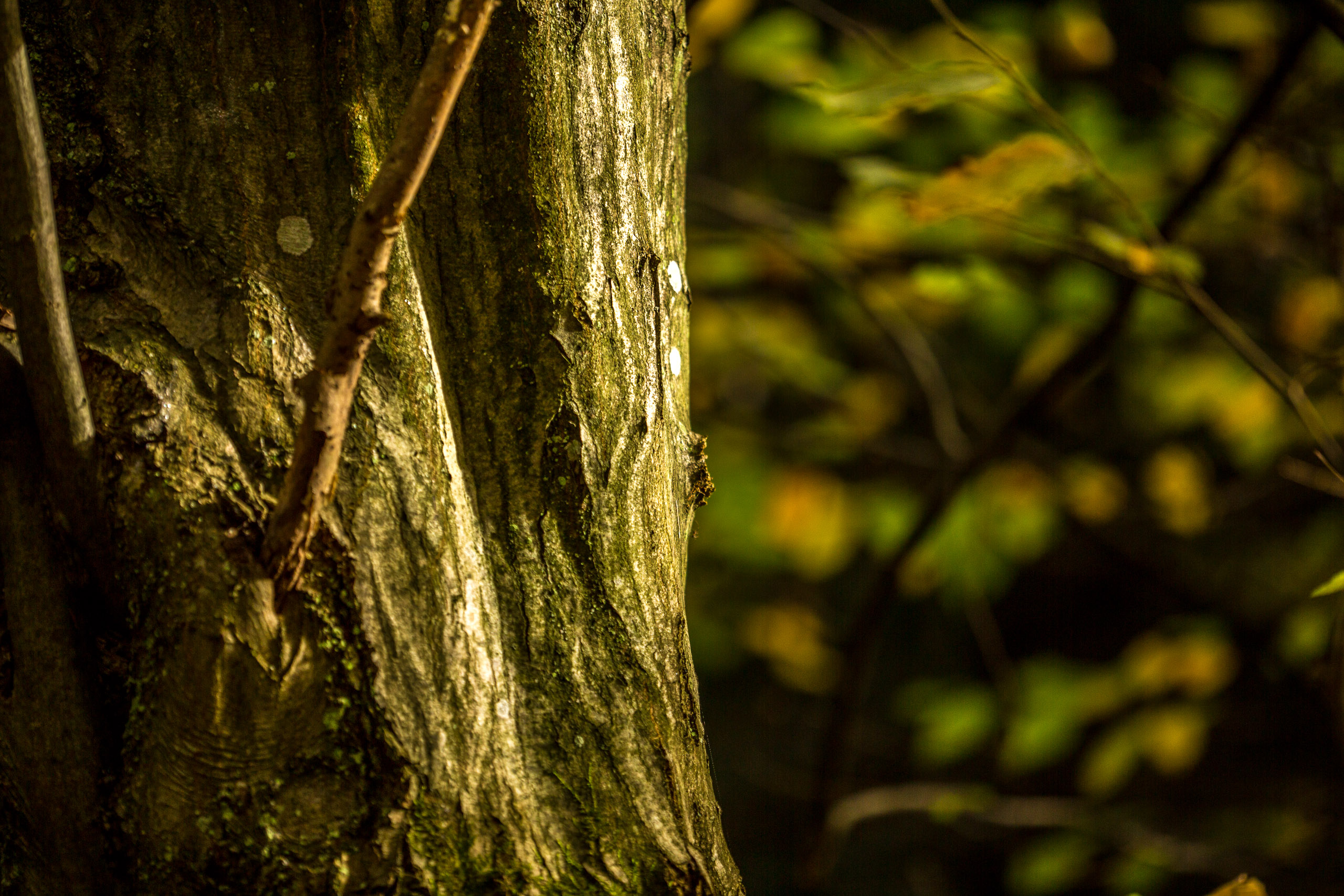 20141025142720 RD 76159