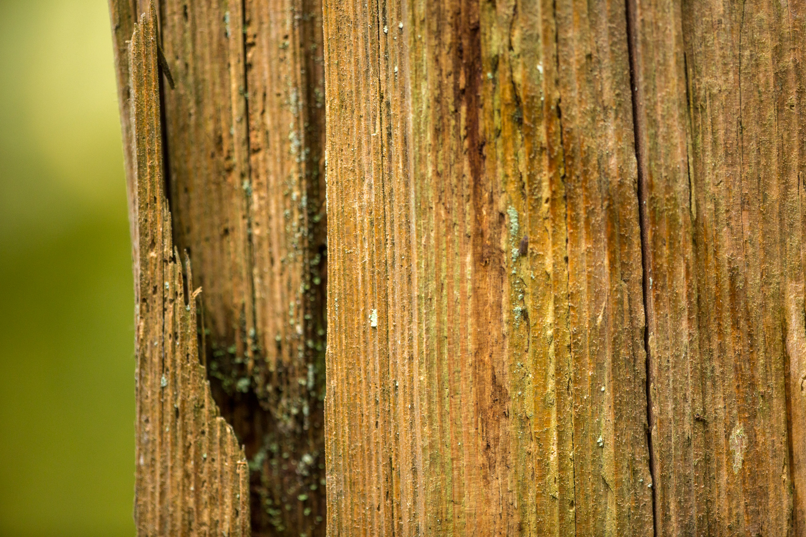 20141025143053 RD 76181