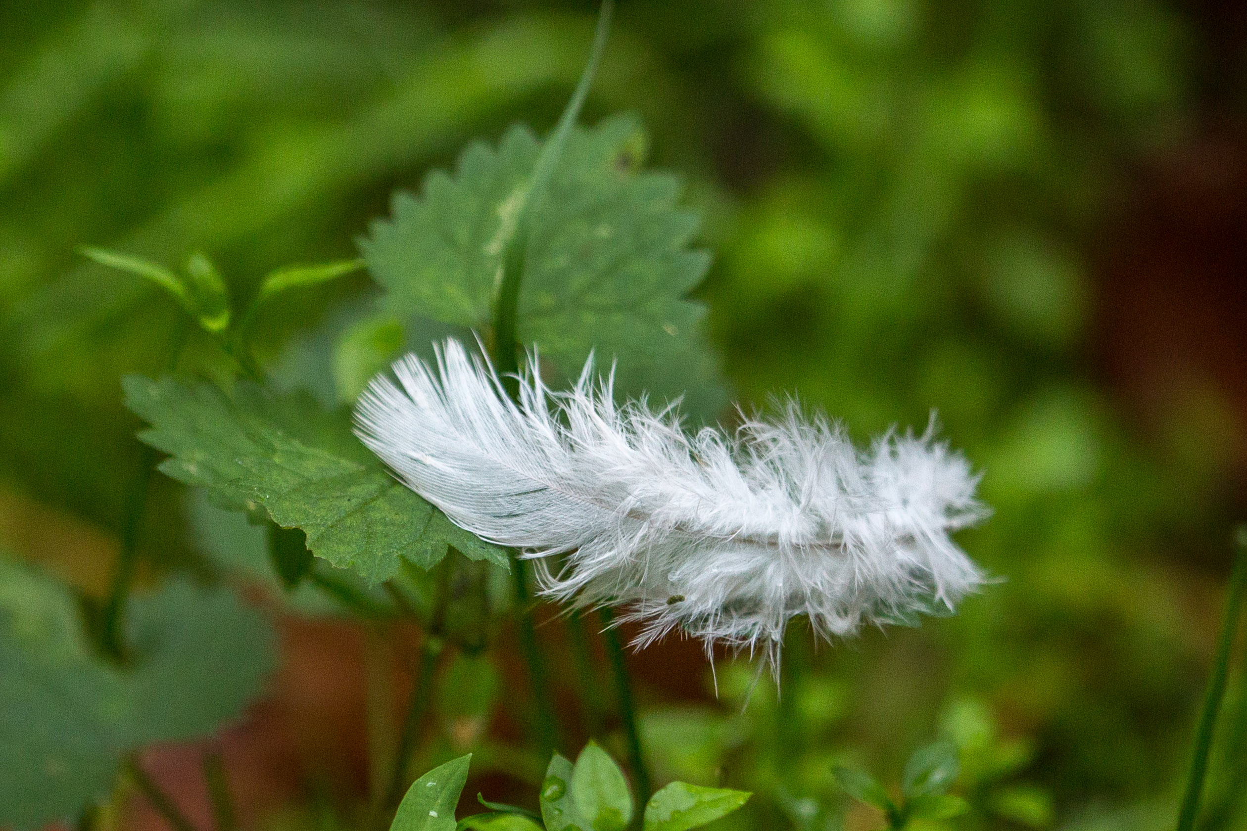 20141025143513 RD 76195