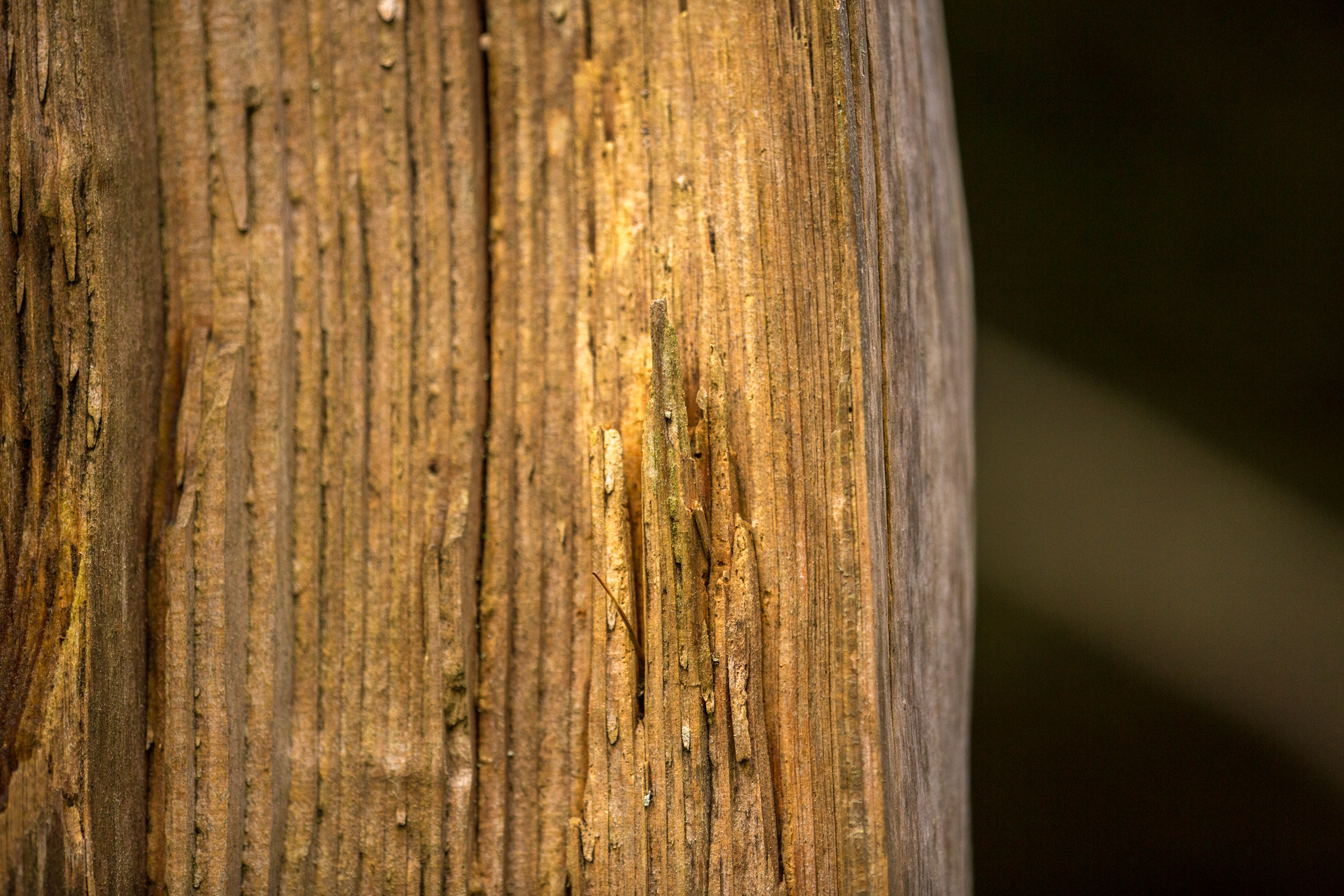 20141025144157 RD 76219