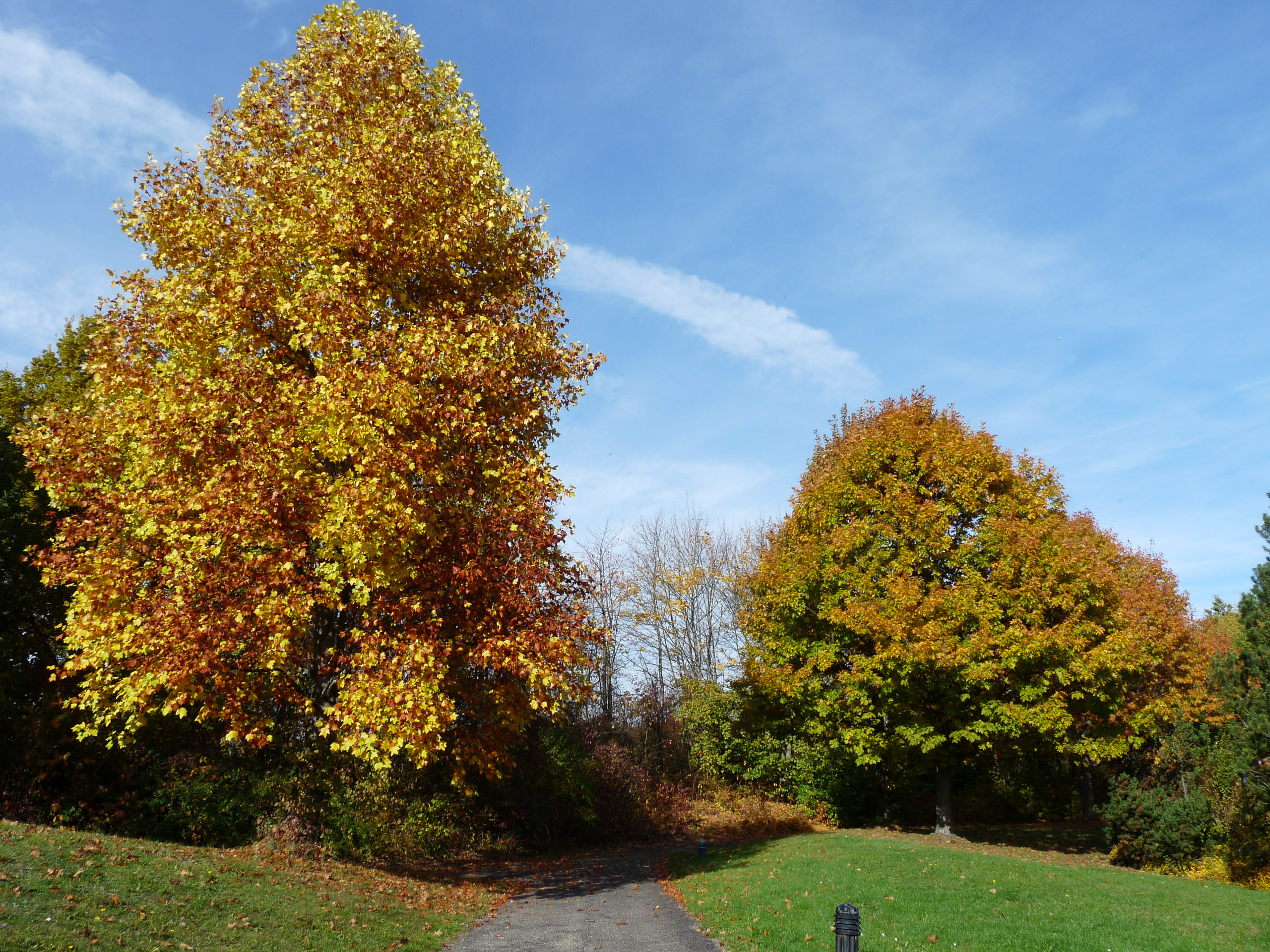 20151024120502 P1070901