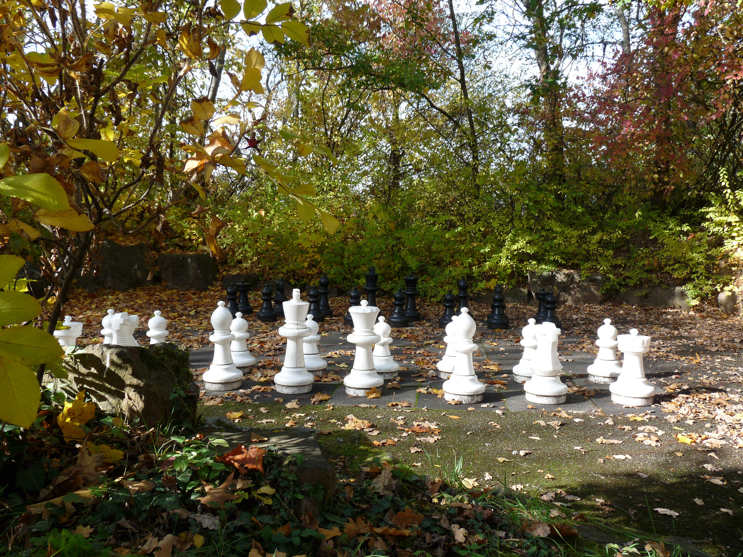 20151024120621 P1070902