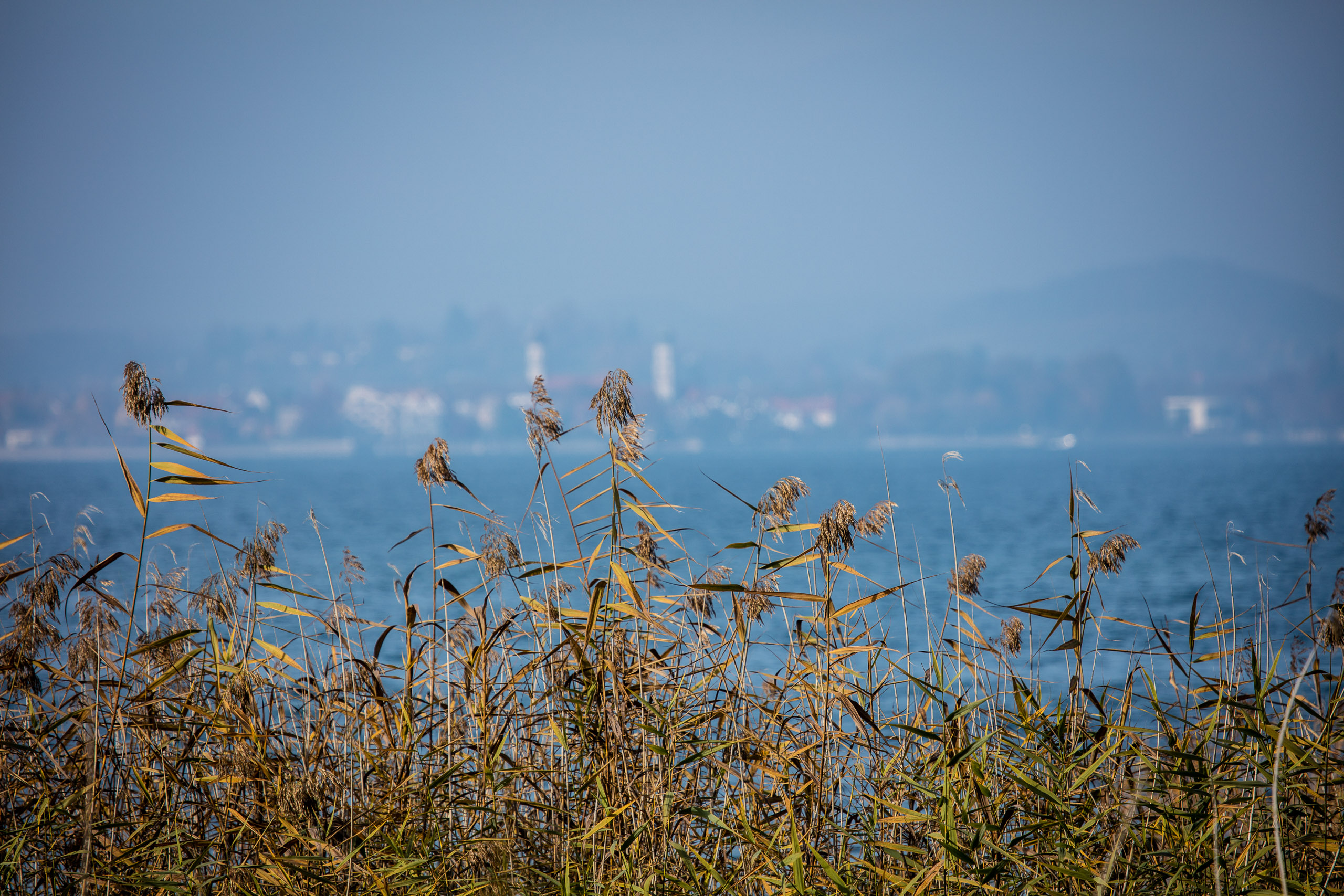 20161028145959 DP010021