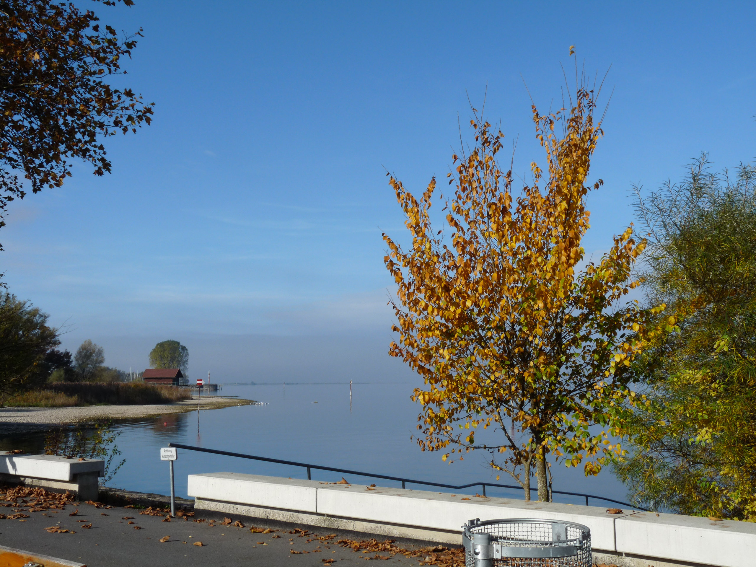 20161029104044 P1090618