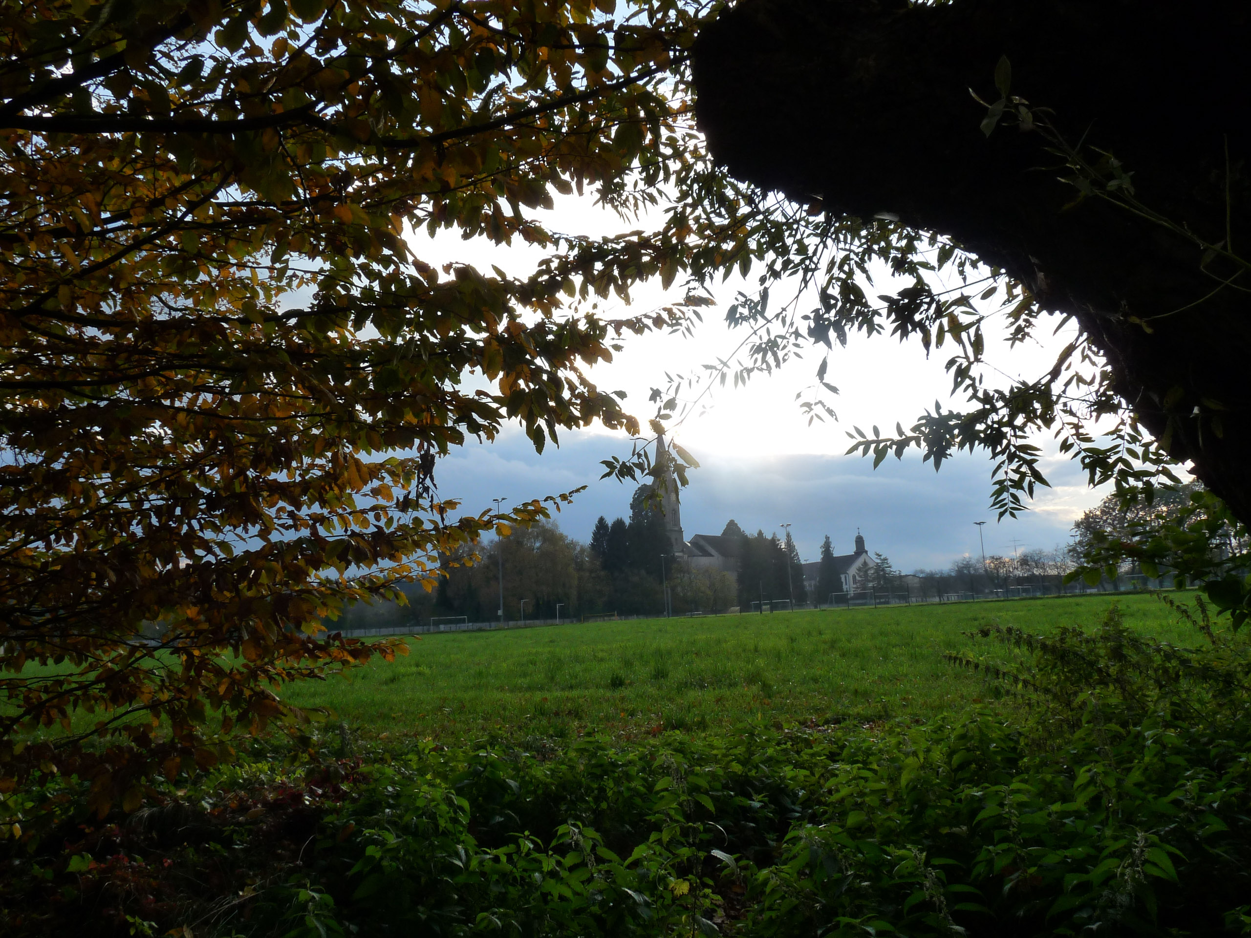 20171027163313 P1100776