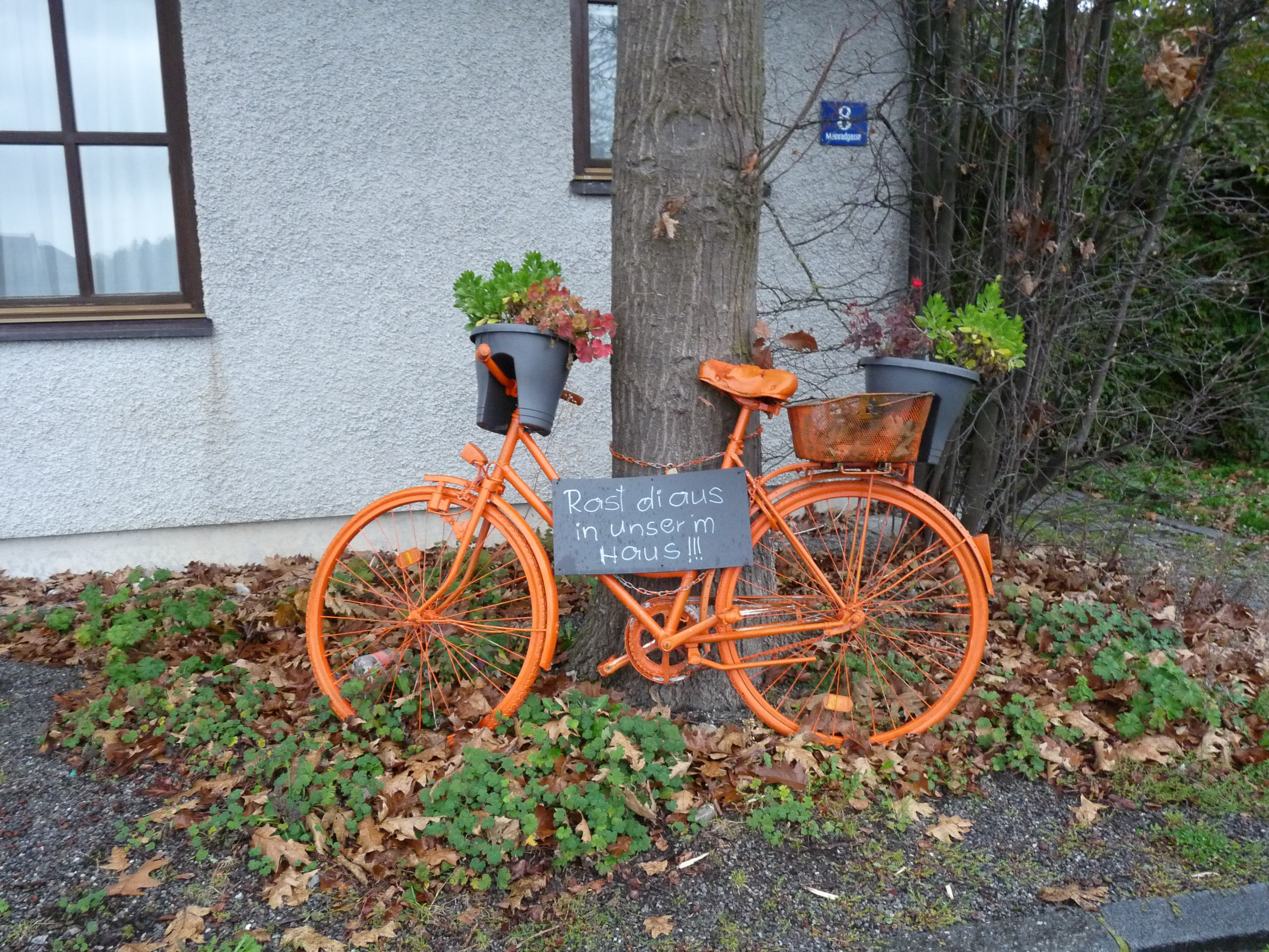 20171029085354 P1100794