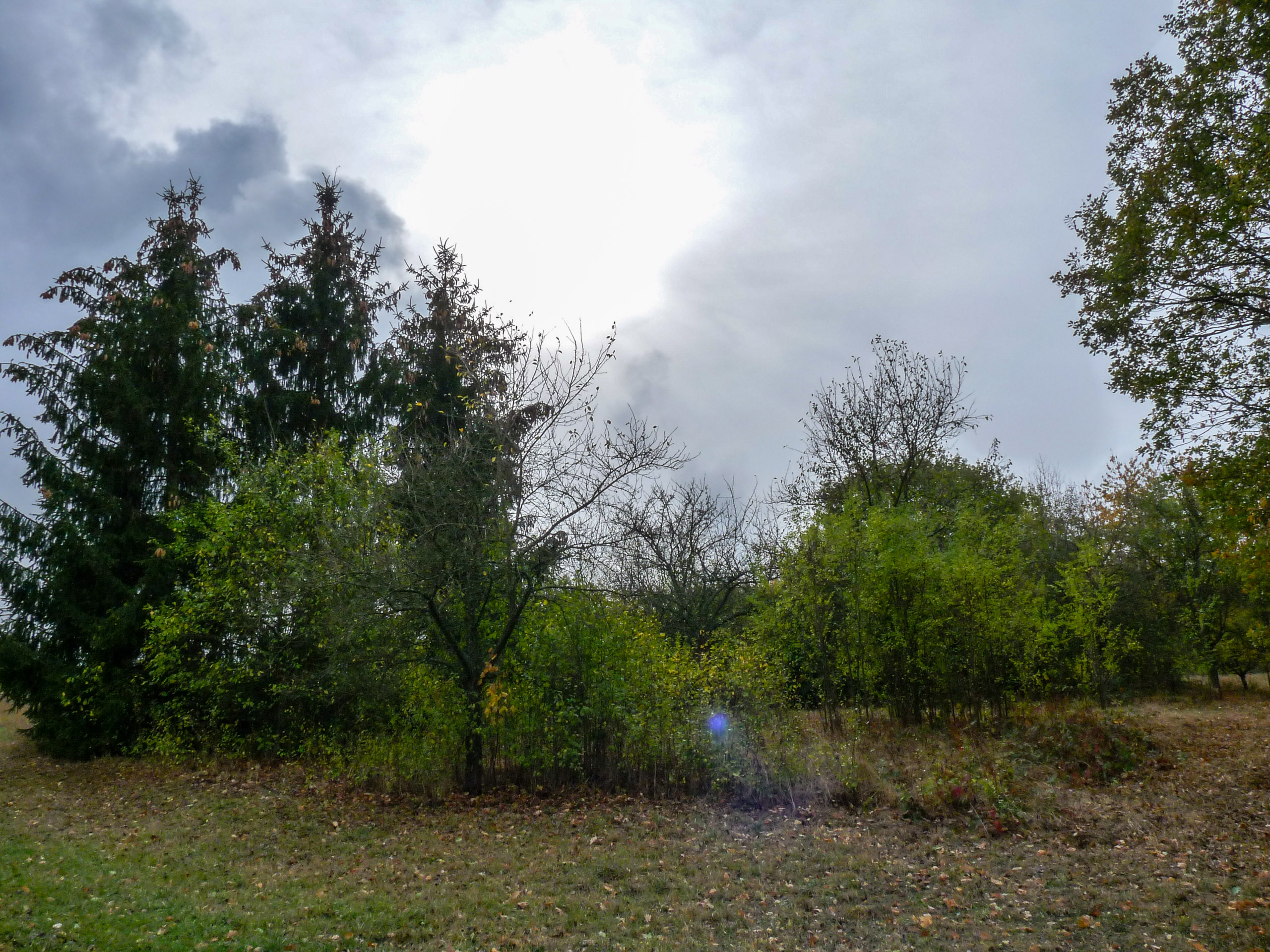 20181027131304 P1120039