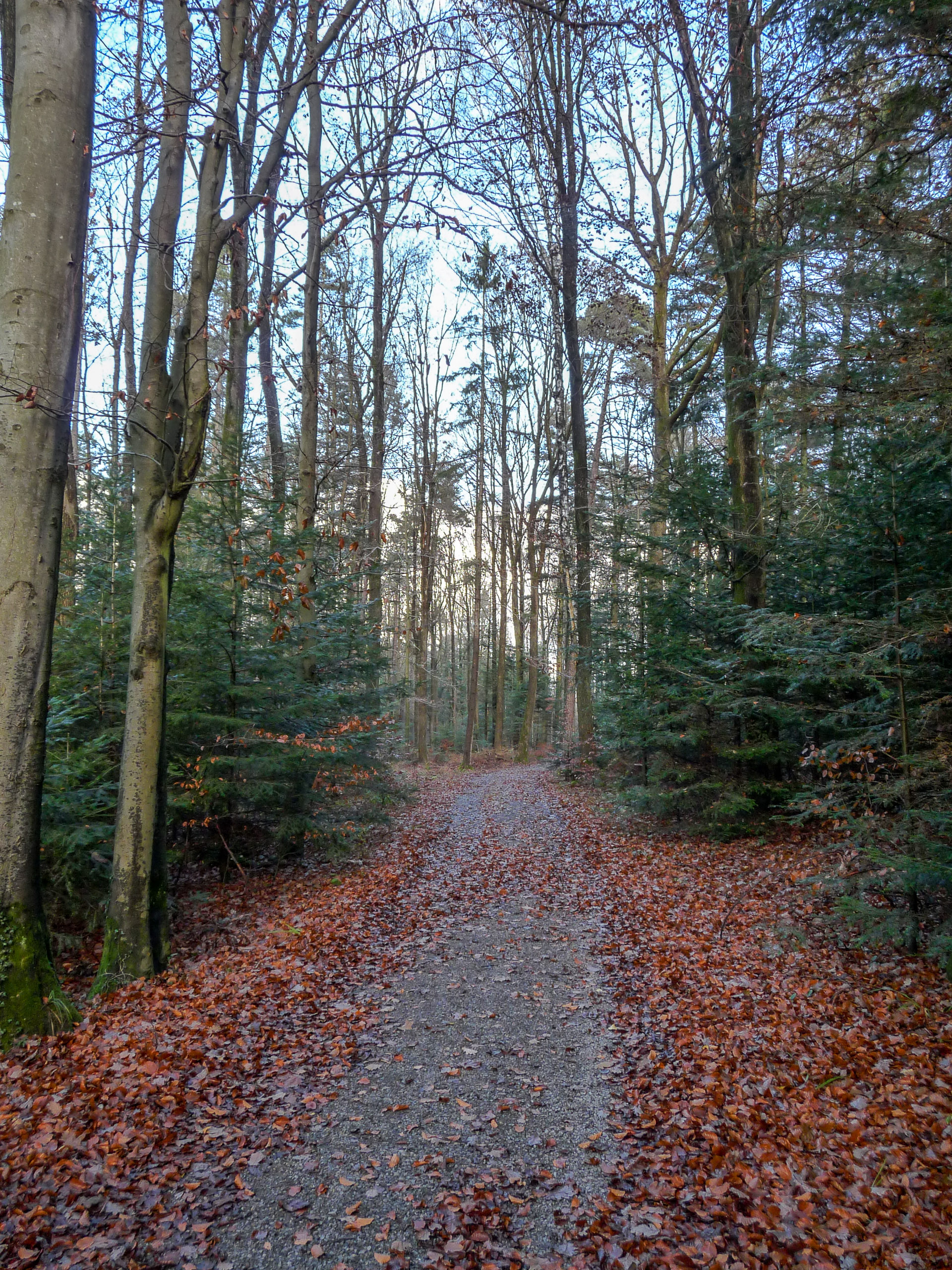 20191130135614 P1130131