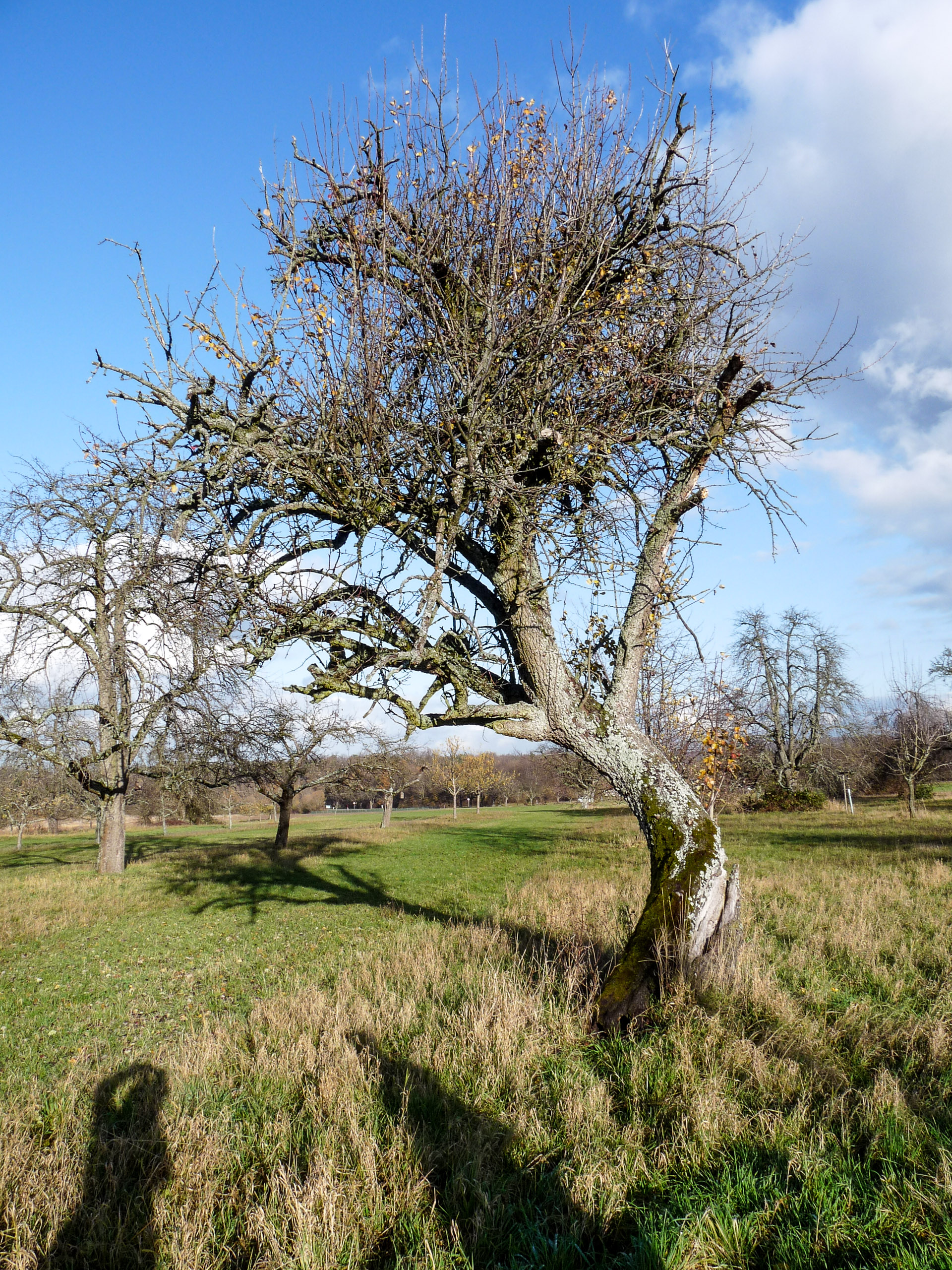 20191130140335 P1130133