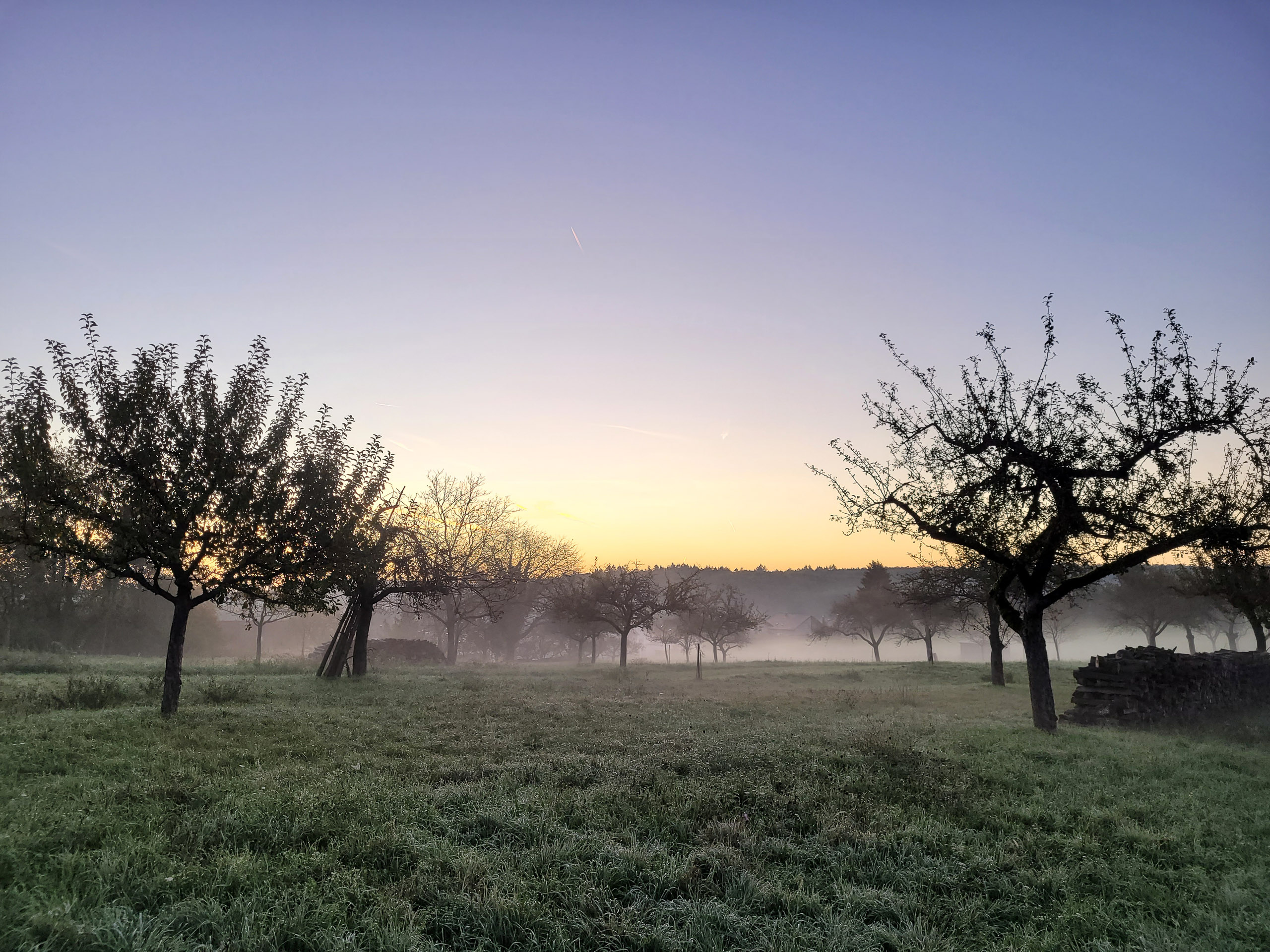 20221027075319 20221027 075319