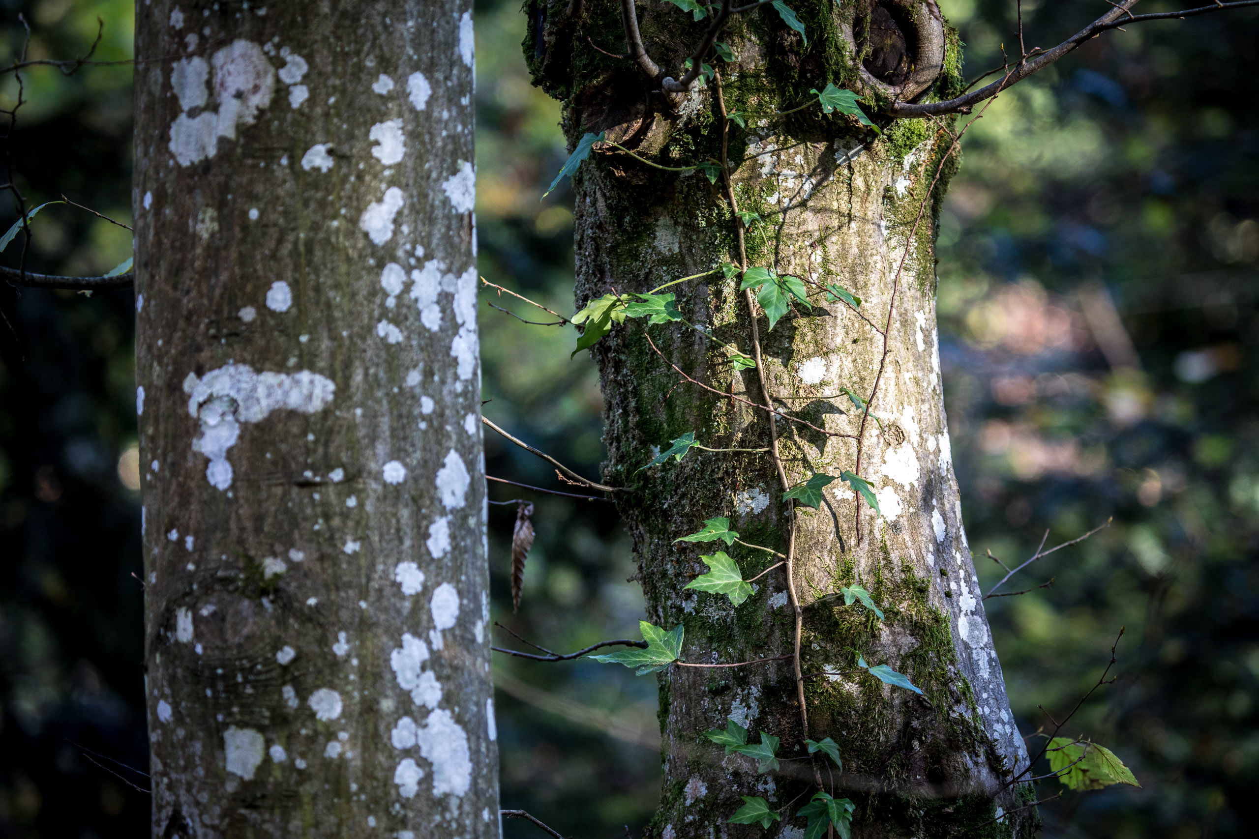 20221027155335 RD4 0001